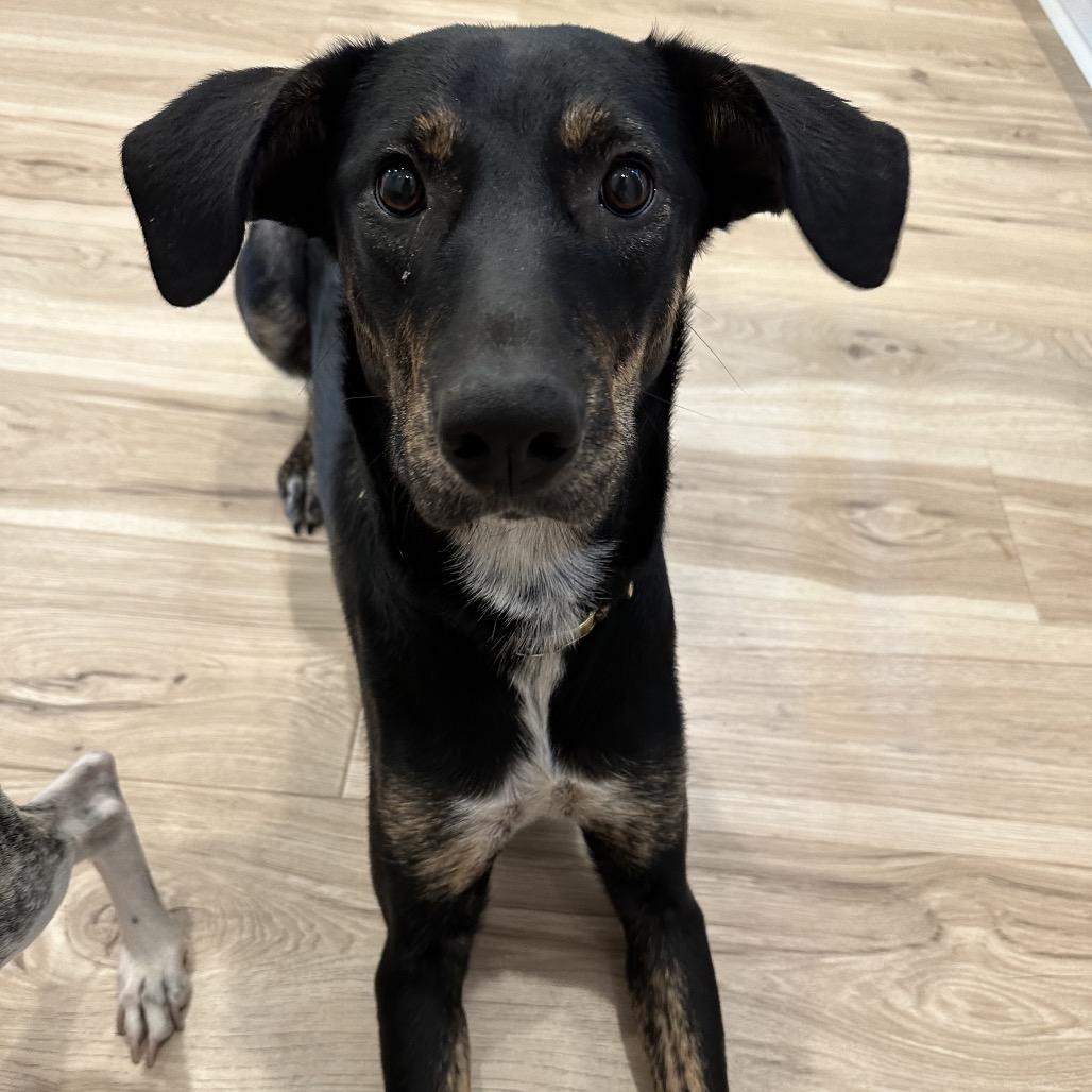 Lucille — thumbnail 6