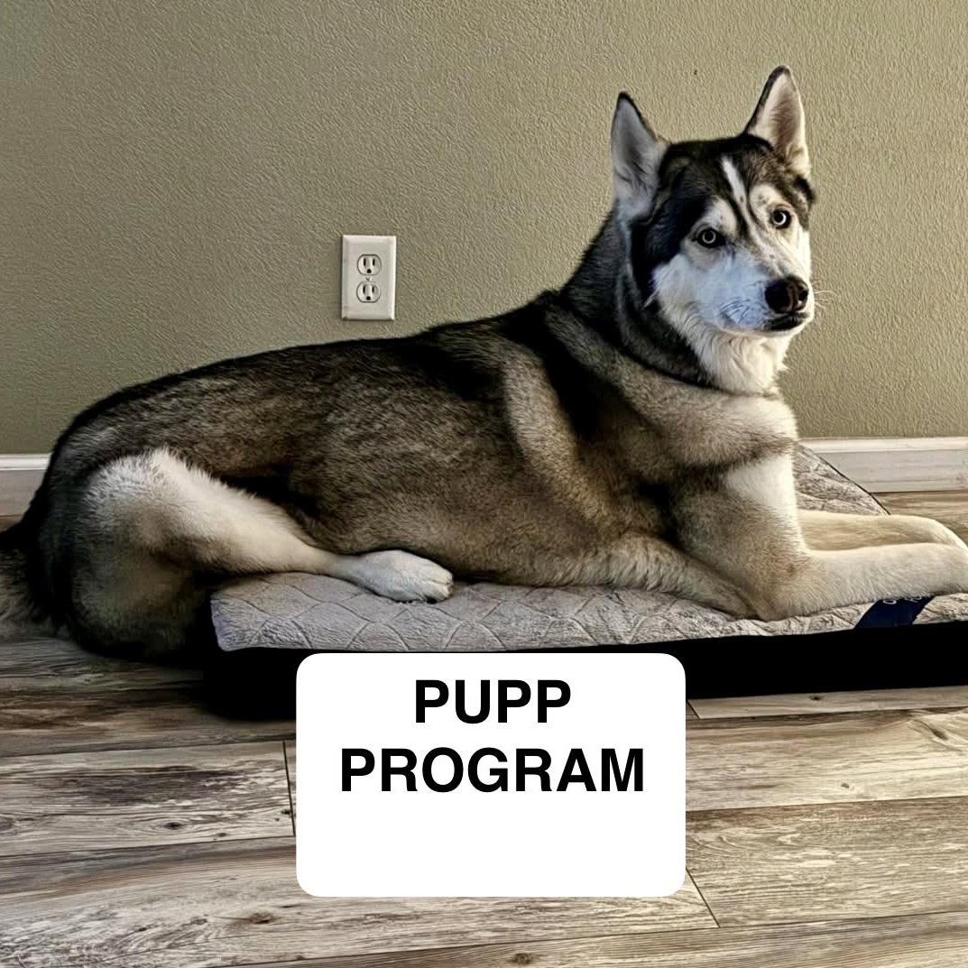 Zeus 0125 — thumbnail 3