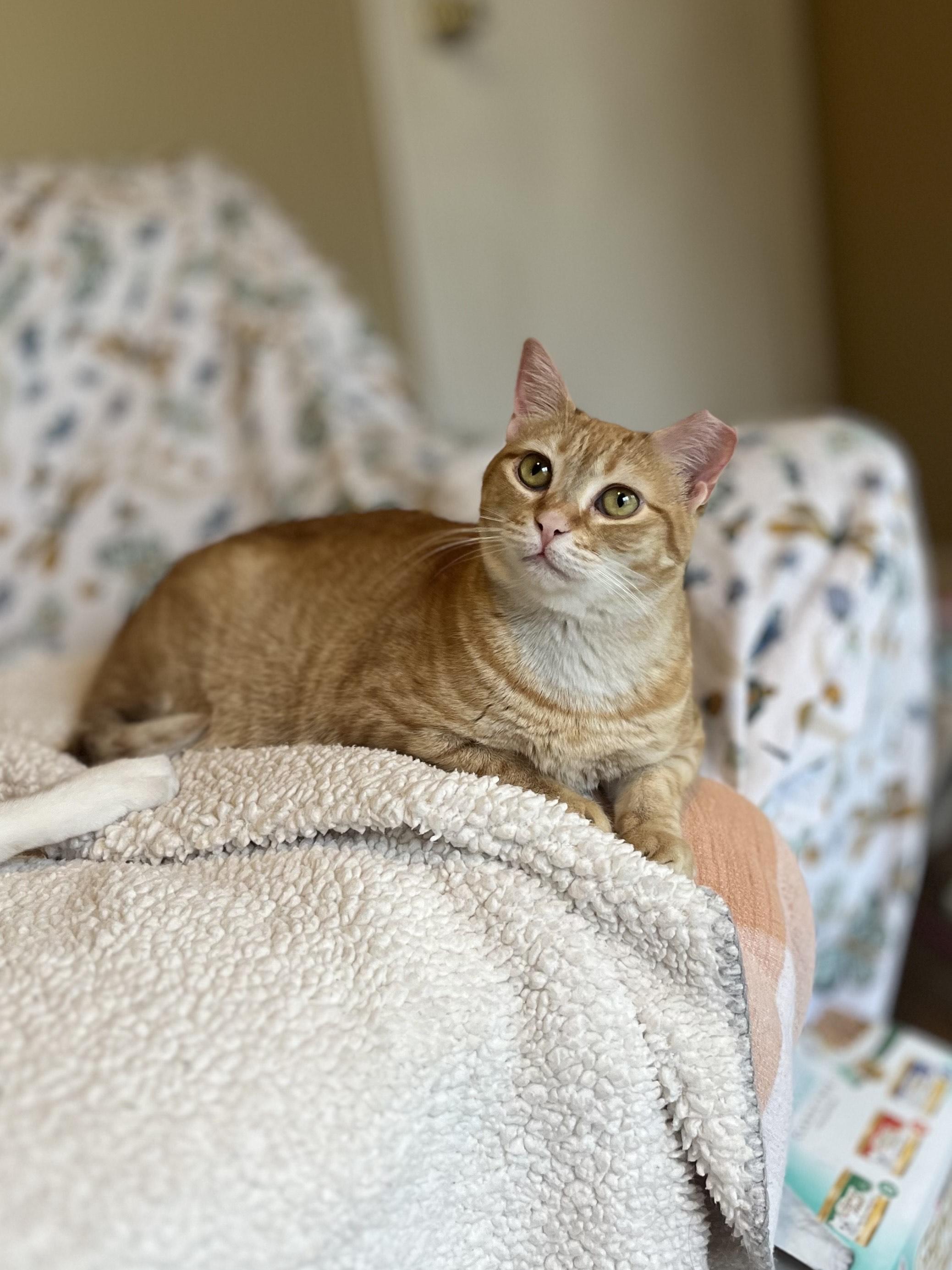 Tuna