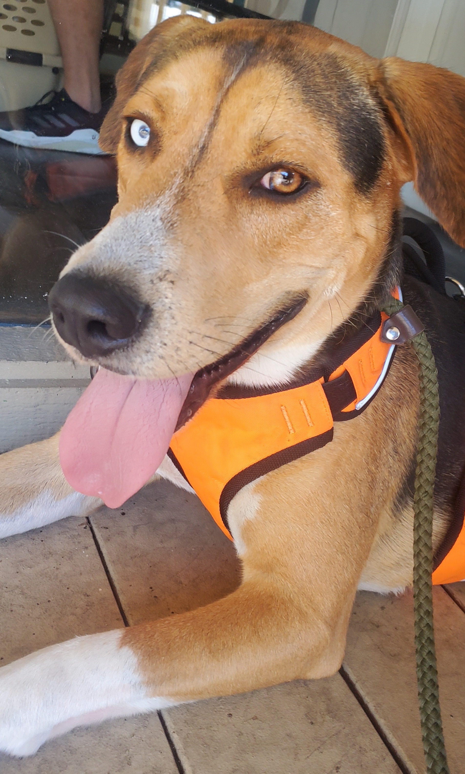 Buddy photo 4