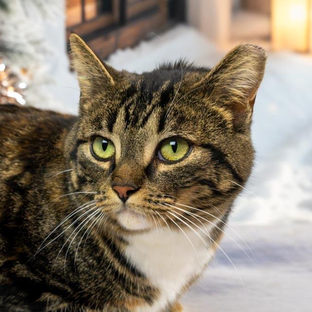 Beatrix — thumbnail 2