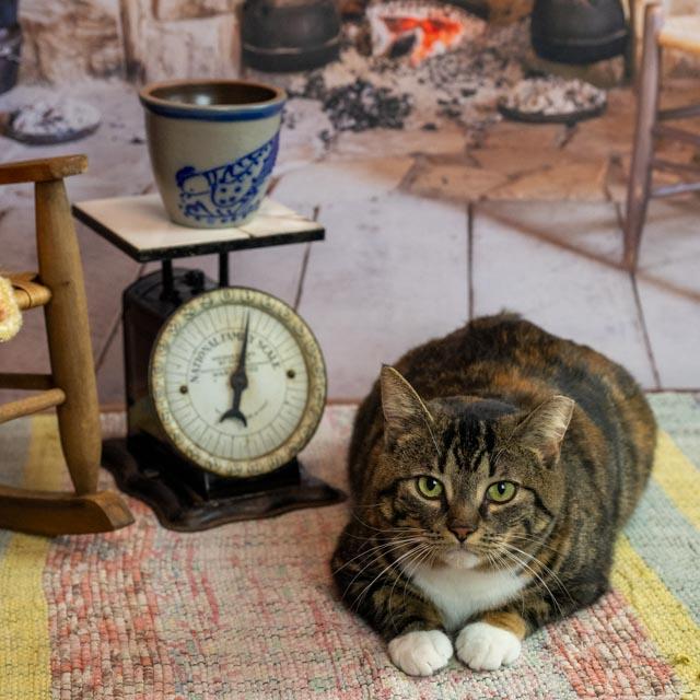 Beatrix — thumbnail 4