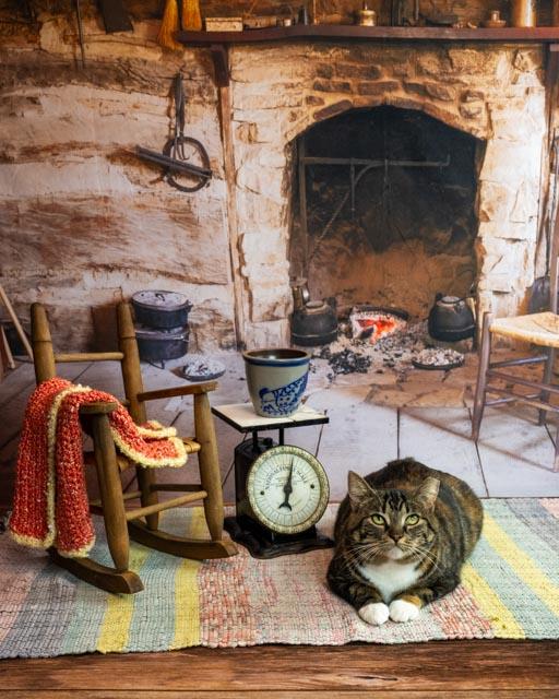 Beatrix — thumbnail 6