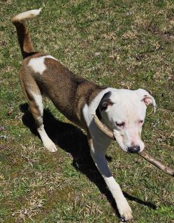 Skeeter photo 4