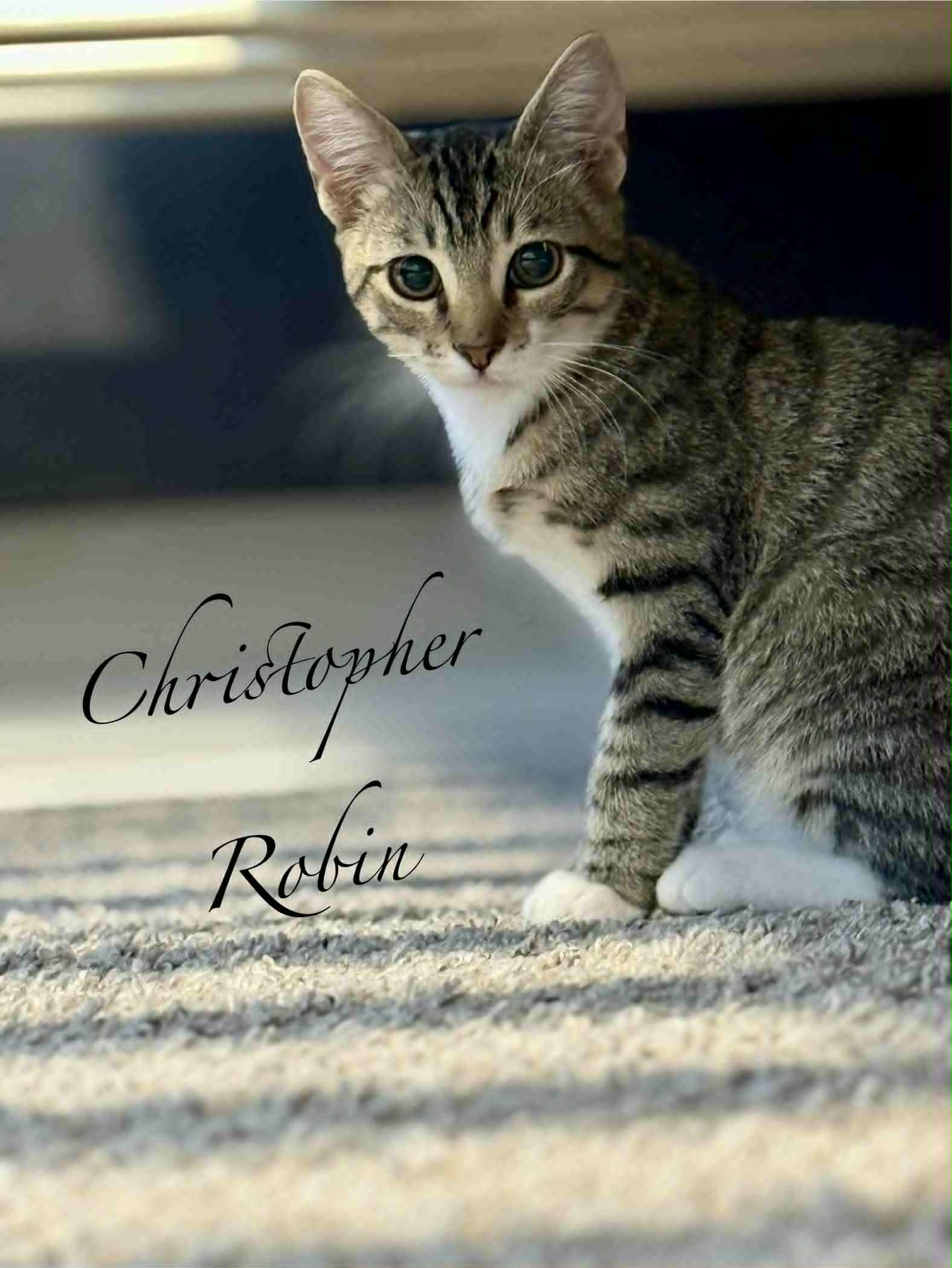 Christopher Robin, Young Male unknown