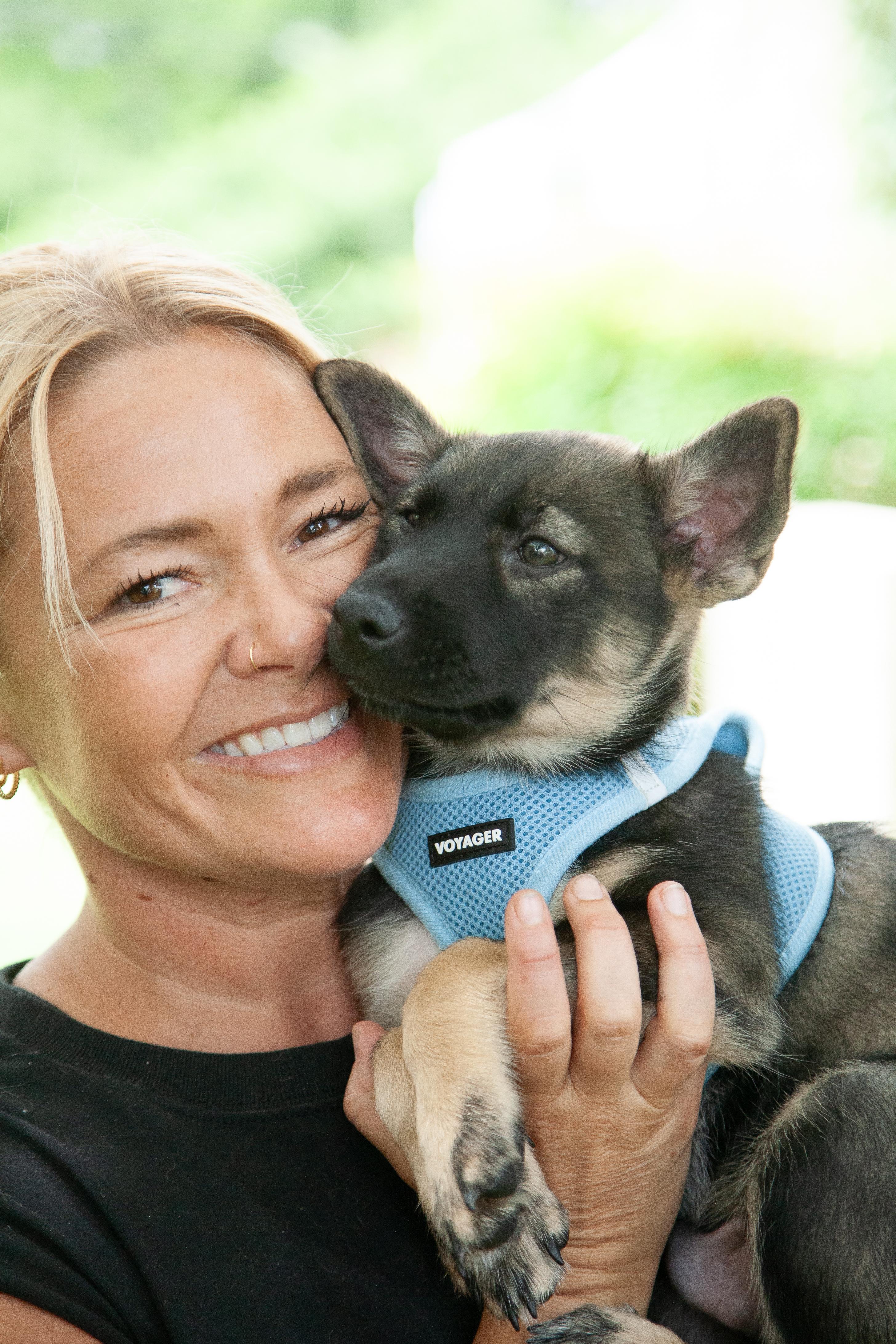 Banks, a Adoptable mixed breed in Nashville, TN image 2/3