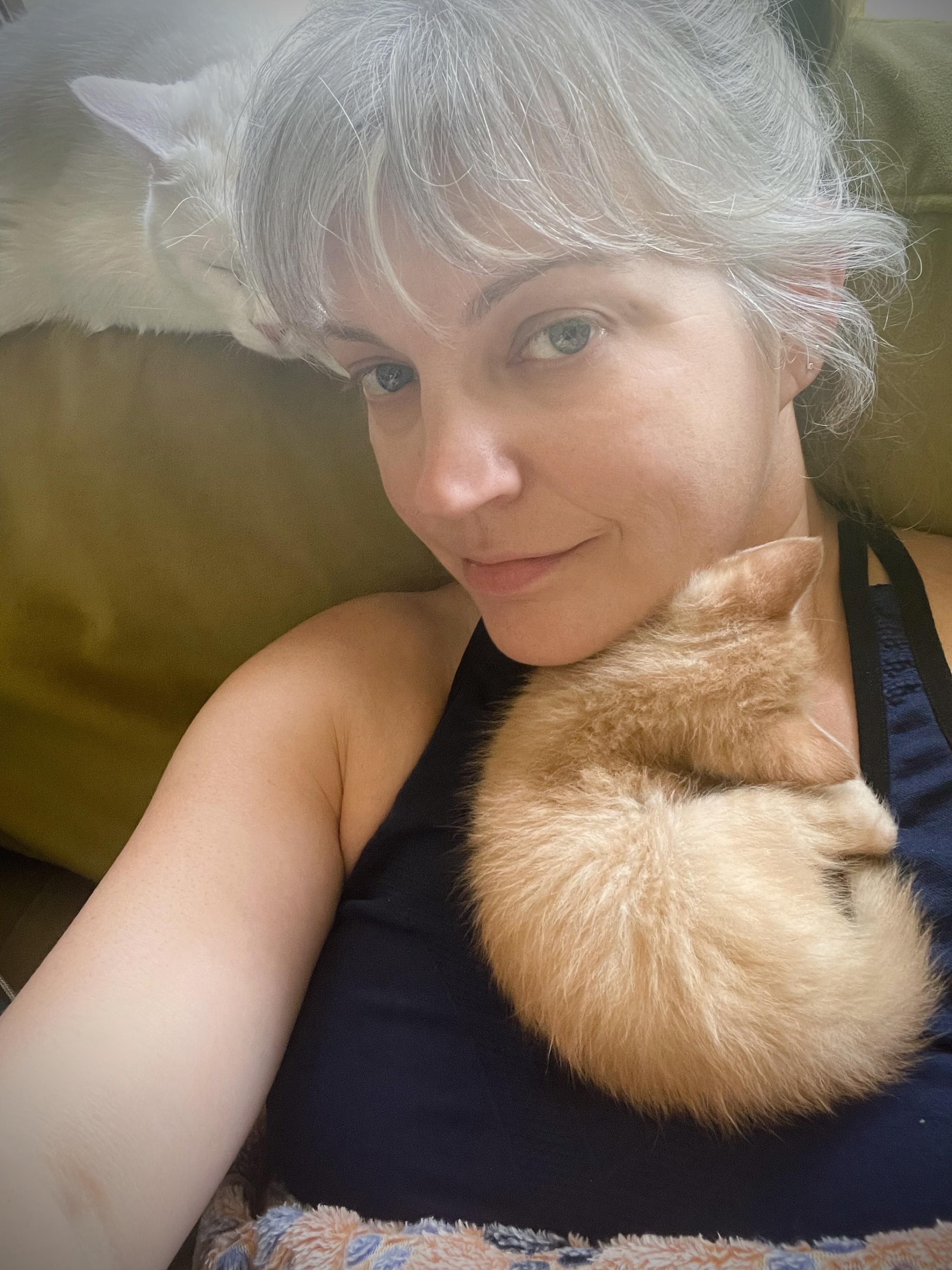 Cheese, a Adopted mixed breed in Wadsworth, IL image 3/5