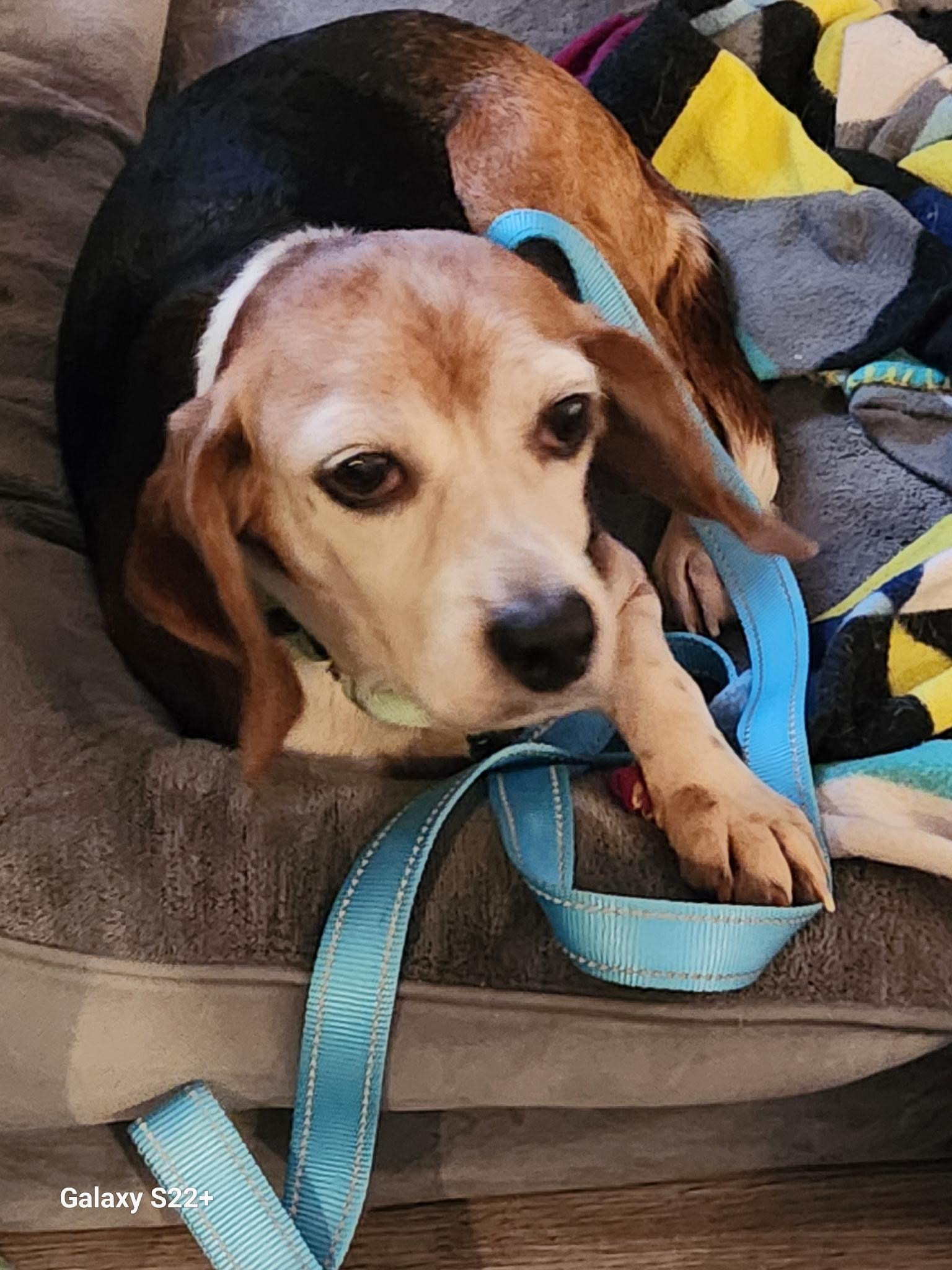 Bernadette thumbnail 2