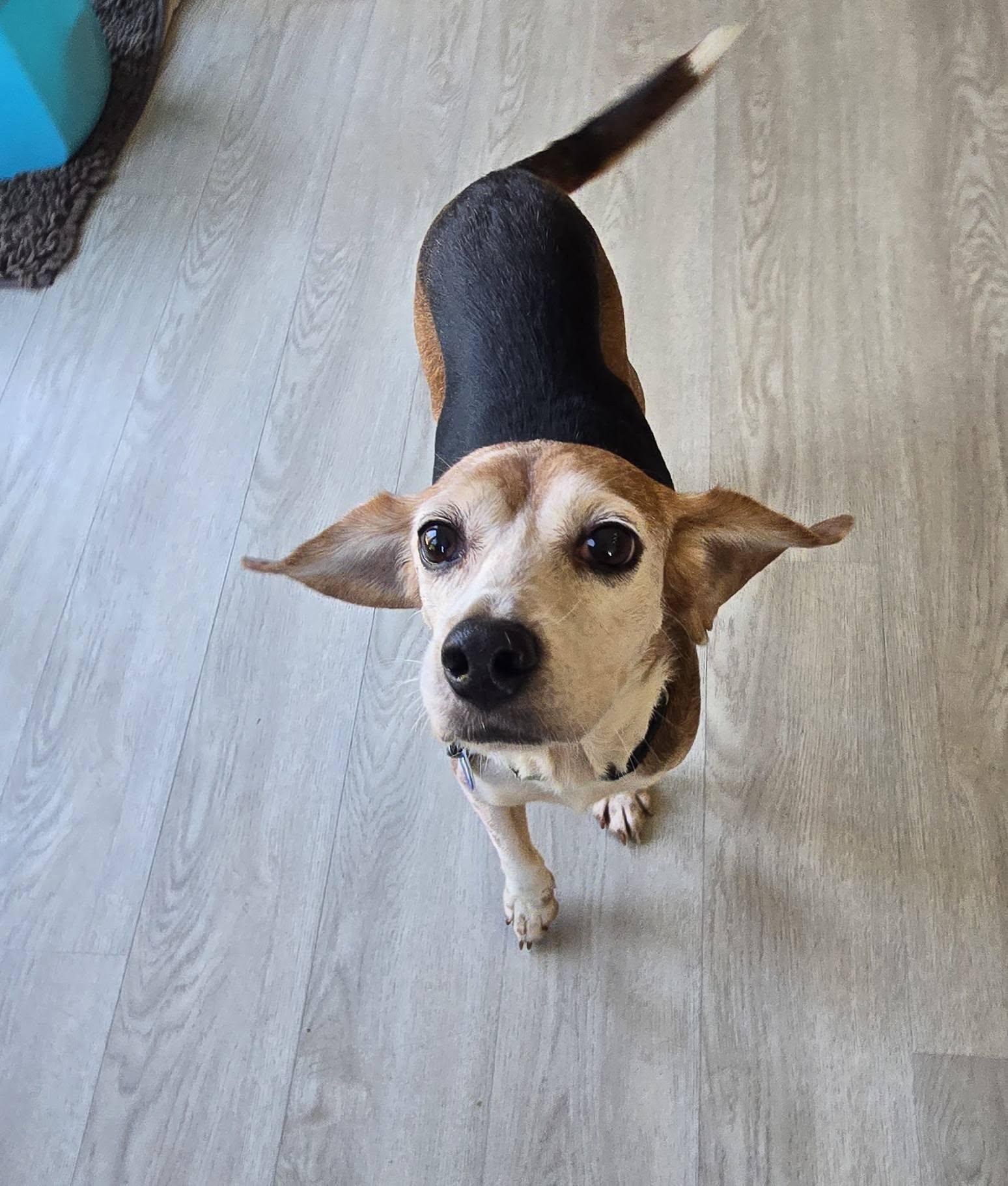 Bernadette thumbnail 5