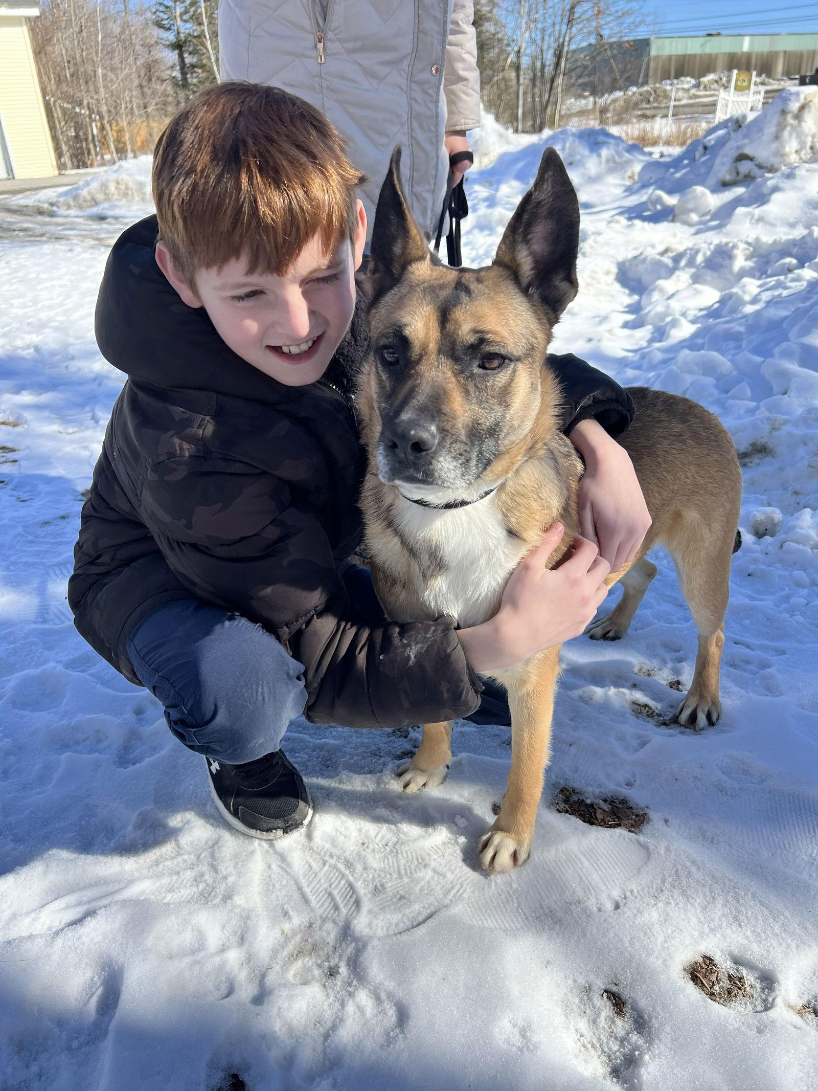 Enlarge CLARA BELLE - Fostered Bangor, ME, a Adopted mixed breed in Sebec, ME image 2/3