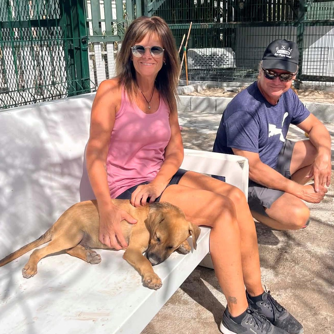 Enlarge Claus, an adopted Mixed Breed in Thornhill, ON image 3/6