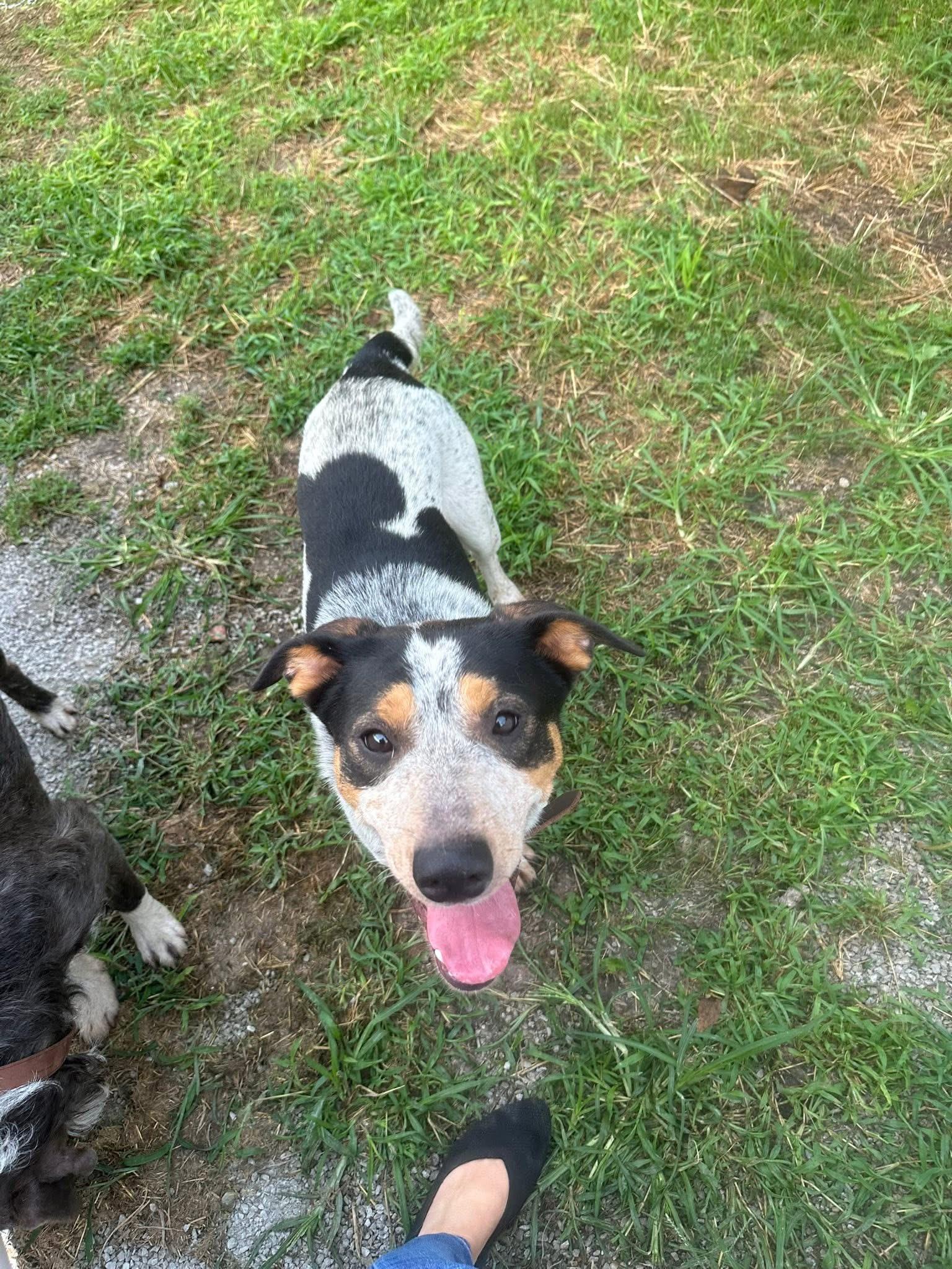 Max