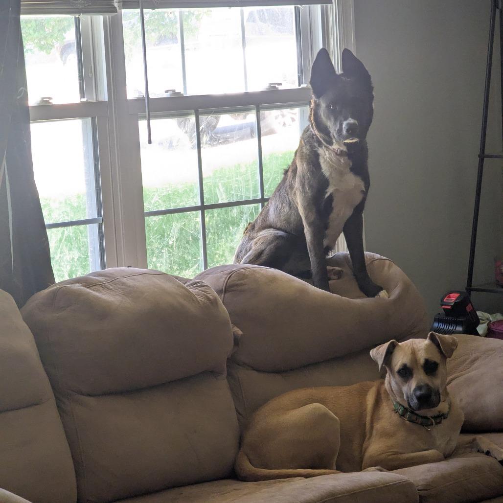 Mocha — thumbnail 4