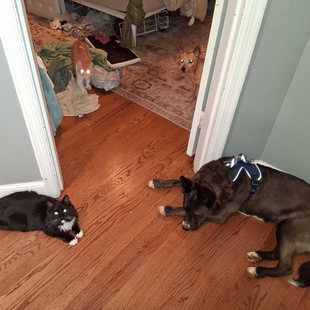 Mocha — thumbnail 5