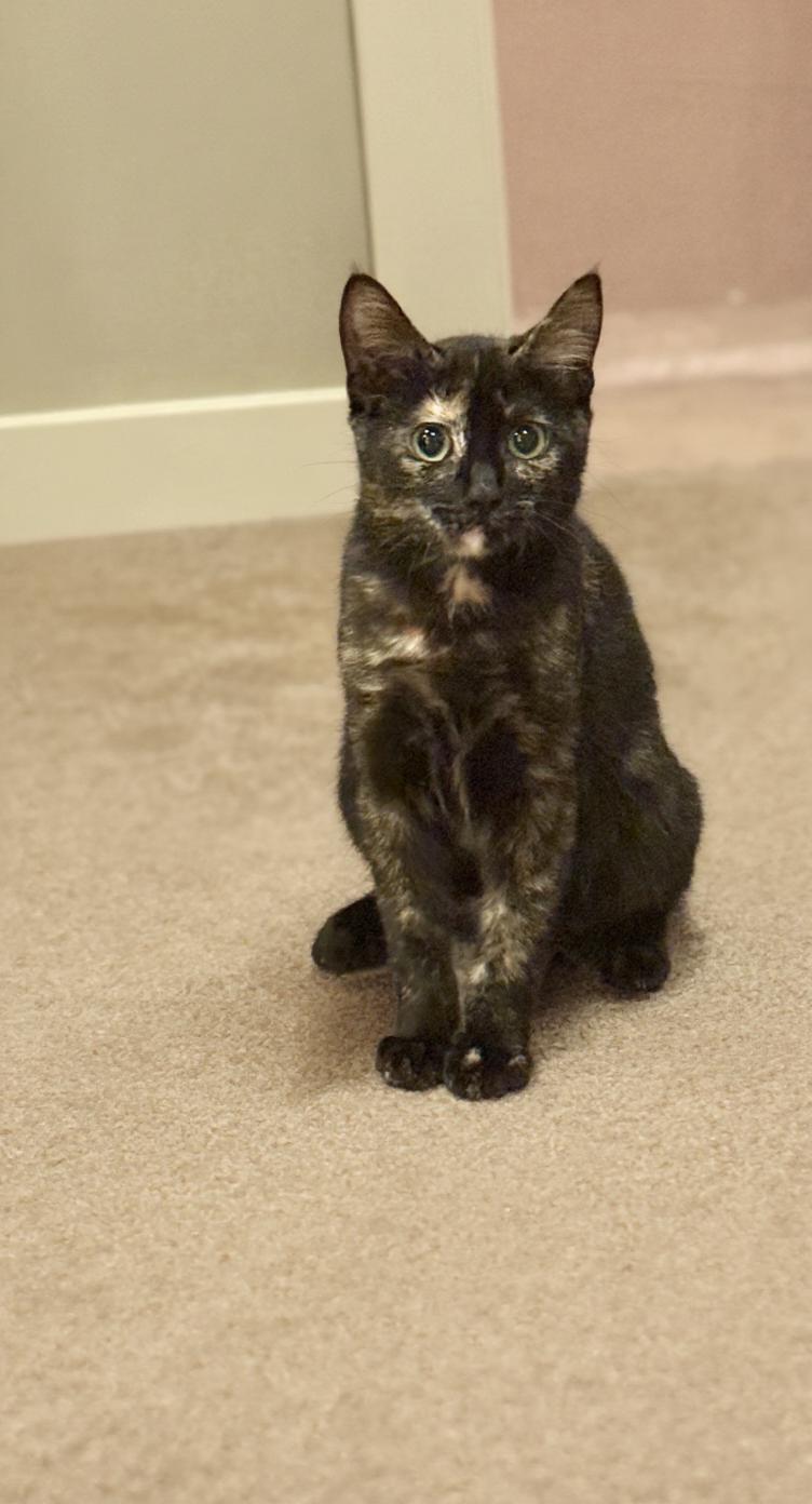 Ella & Emma thumbnail 4