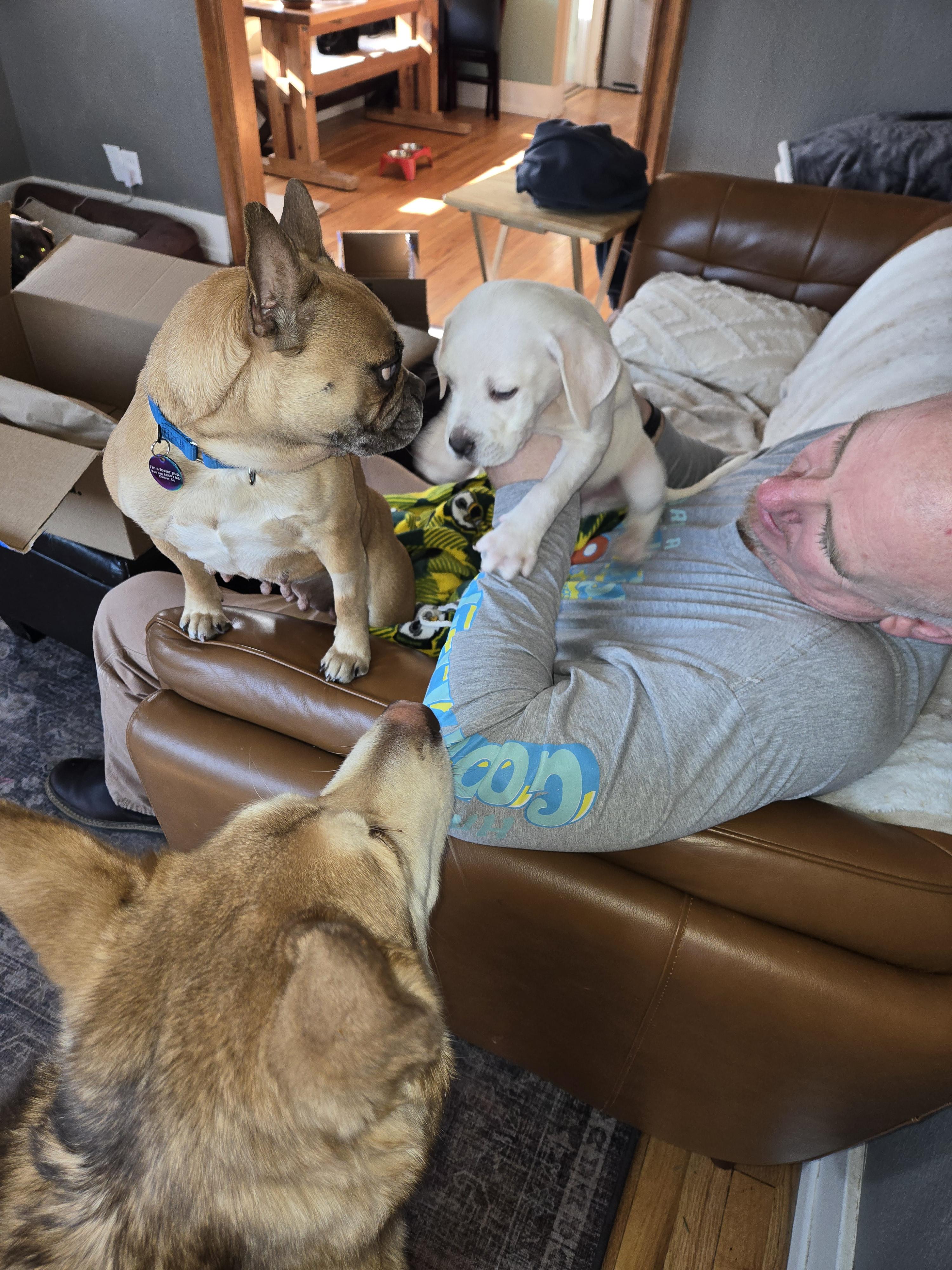 Leopoldo thumbnail 3