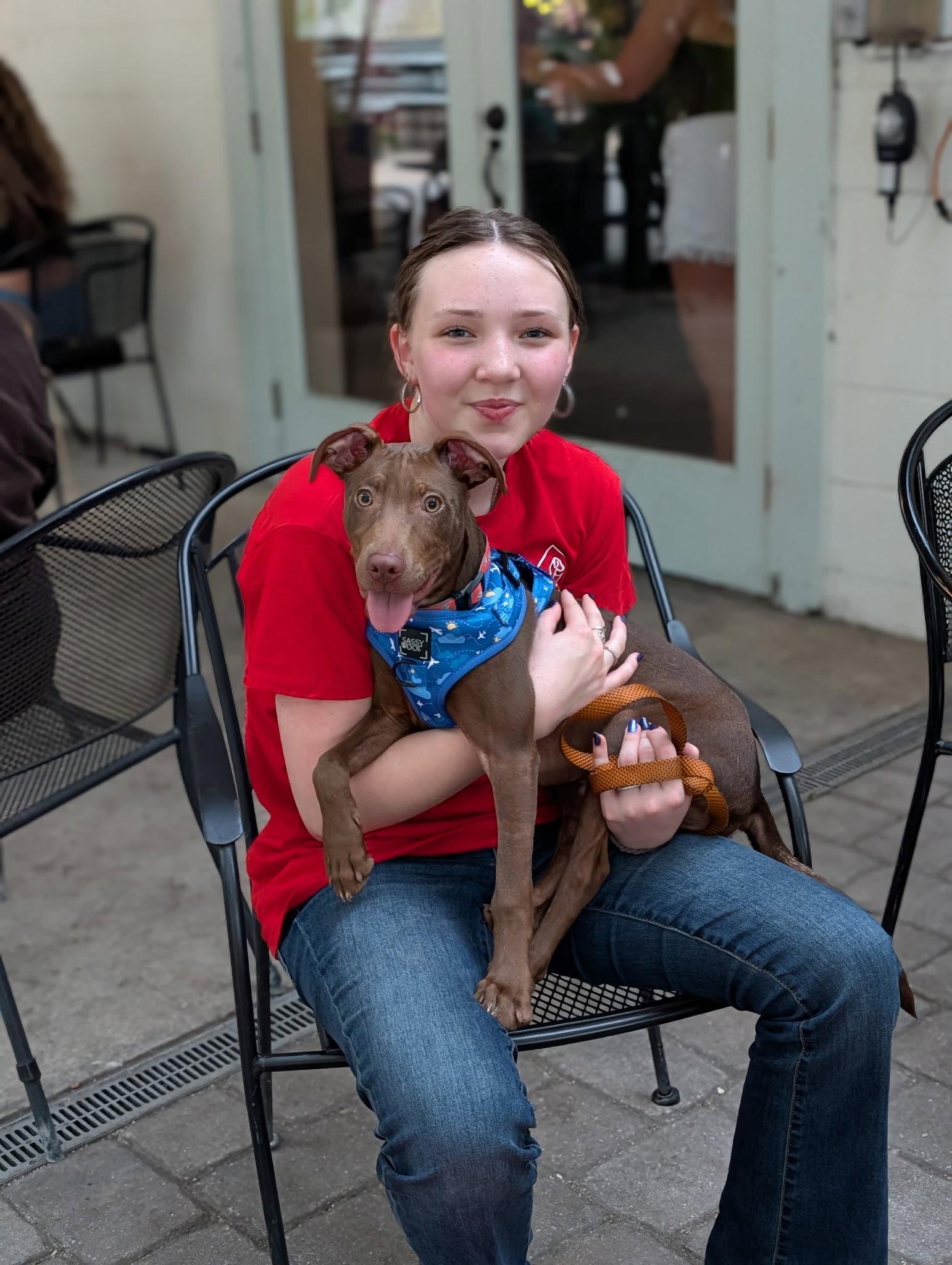 Fairmont, a Adoptable mixed breed in Sanford, FL image 2/3
