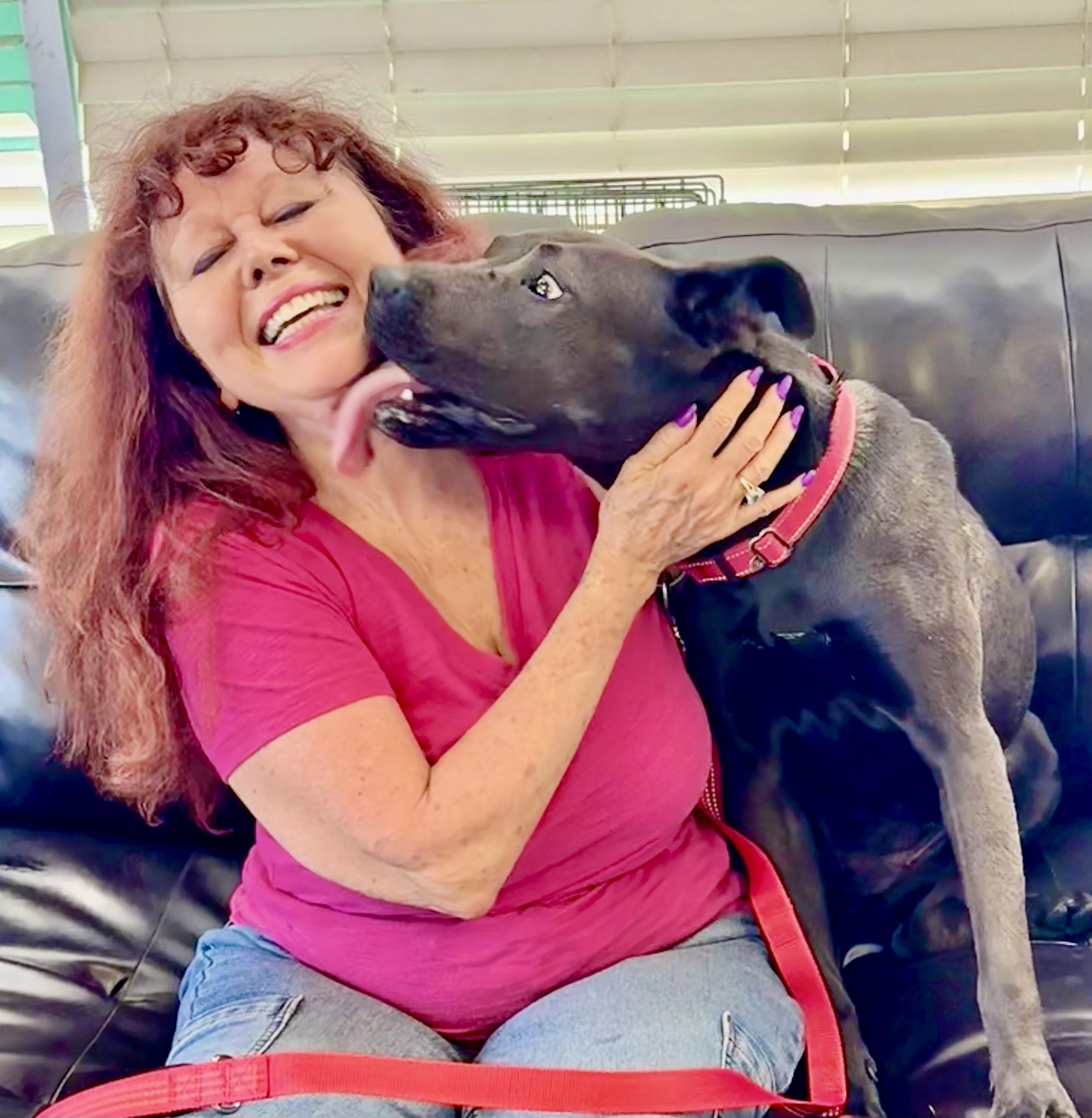 Enlarge RUBY, a Adoptable mixed breed in Thousand Oaks, CA image 2/6