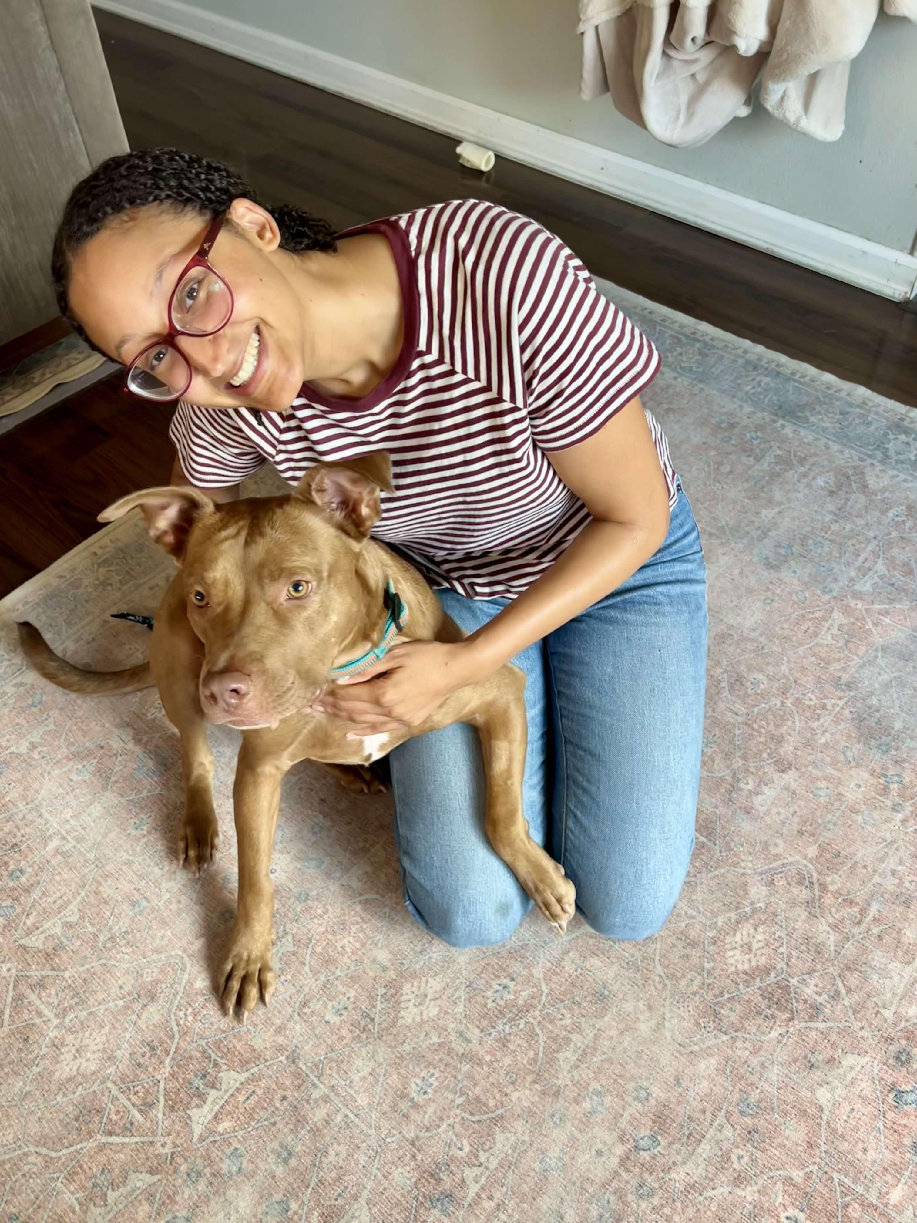 Enlarge Rusty, a Adopted mixed breed in Puyallup, WA image 5/5