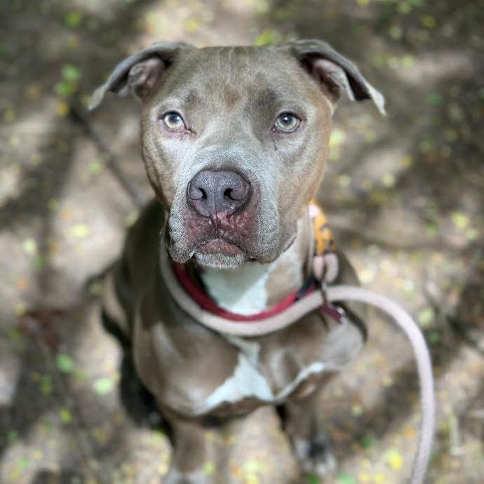 Calvin 9630 — thumbnail 2