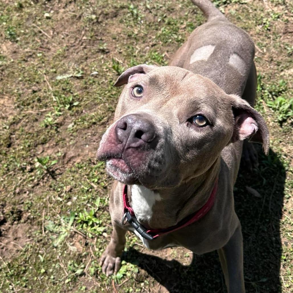 Calvin 9630 — thumbnail 4