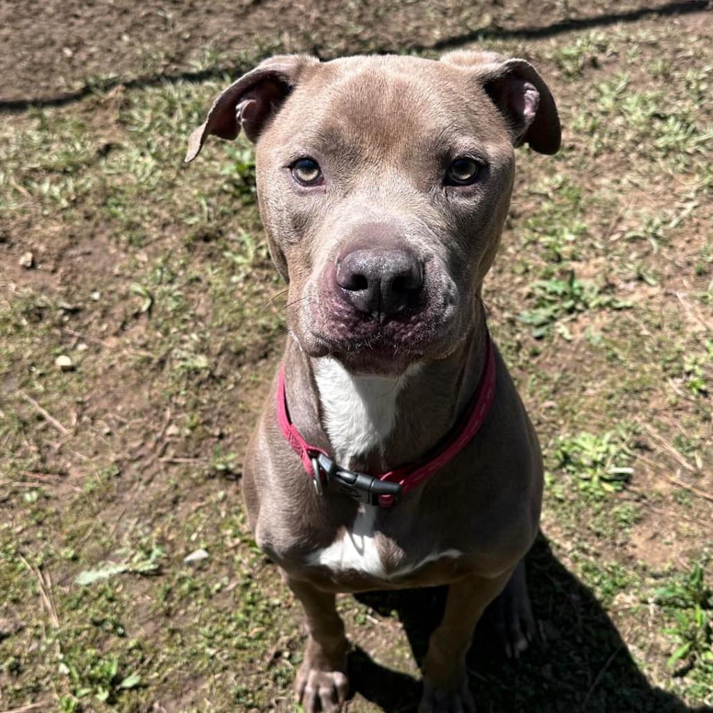 Calvin 9630 — thumbnail 5