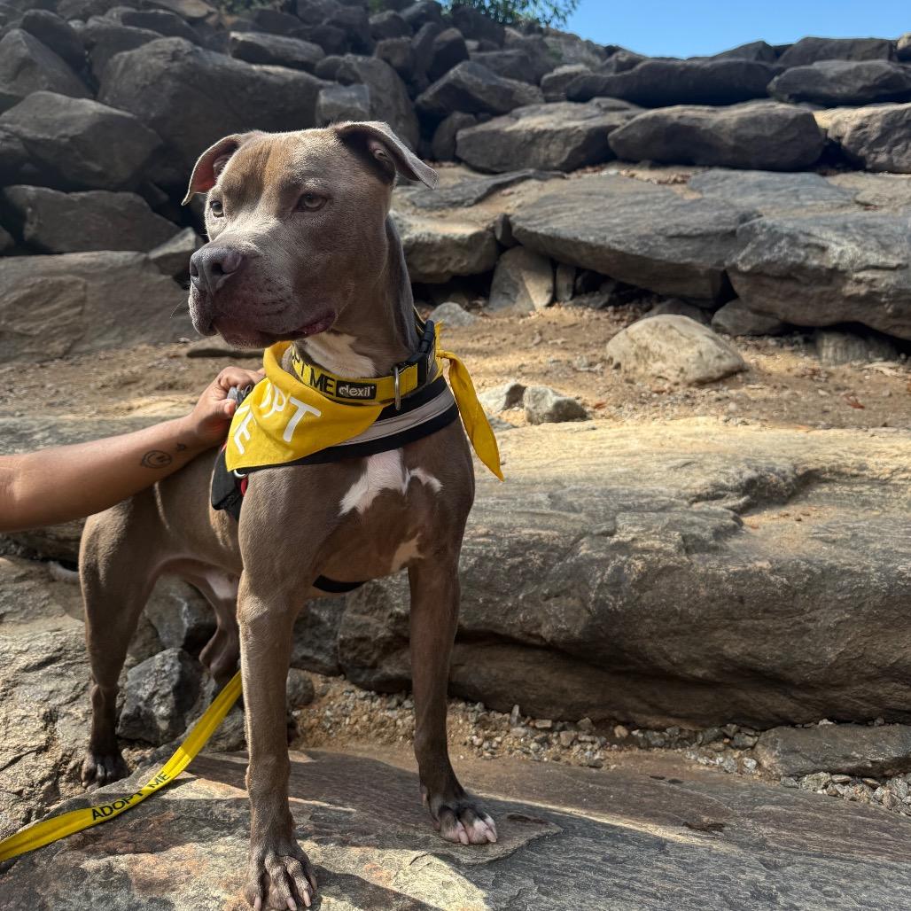 Calvin 9630 — thumbnail 6