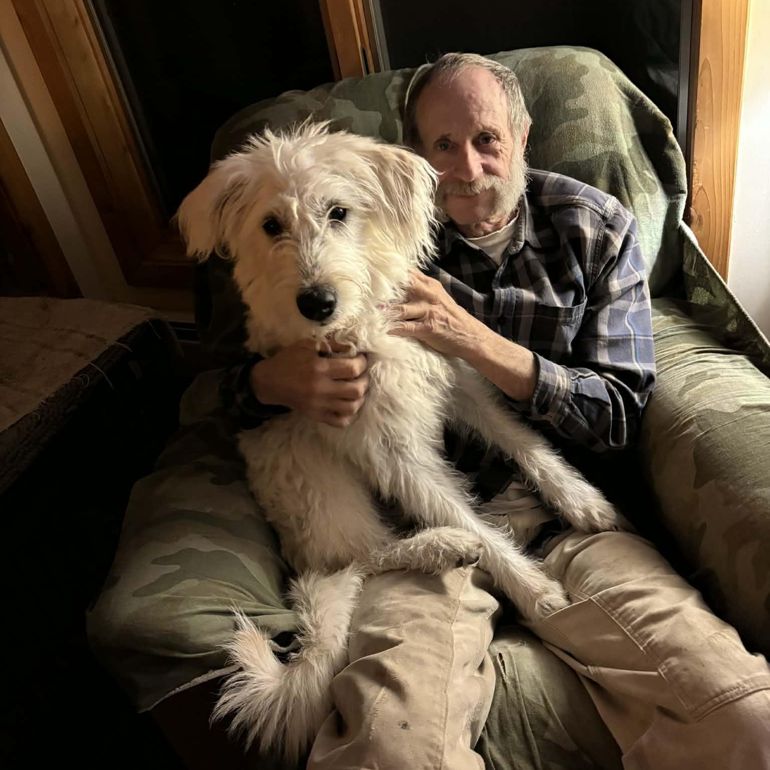 Enlarge Princess Lolly, a ADOPTABLE mixed breed in Woolwich, ME image 5/6