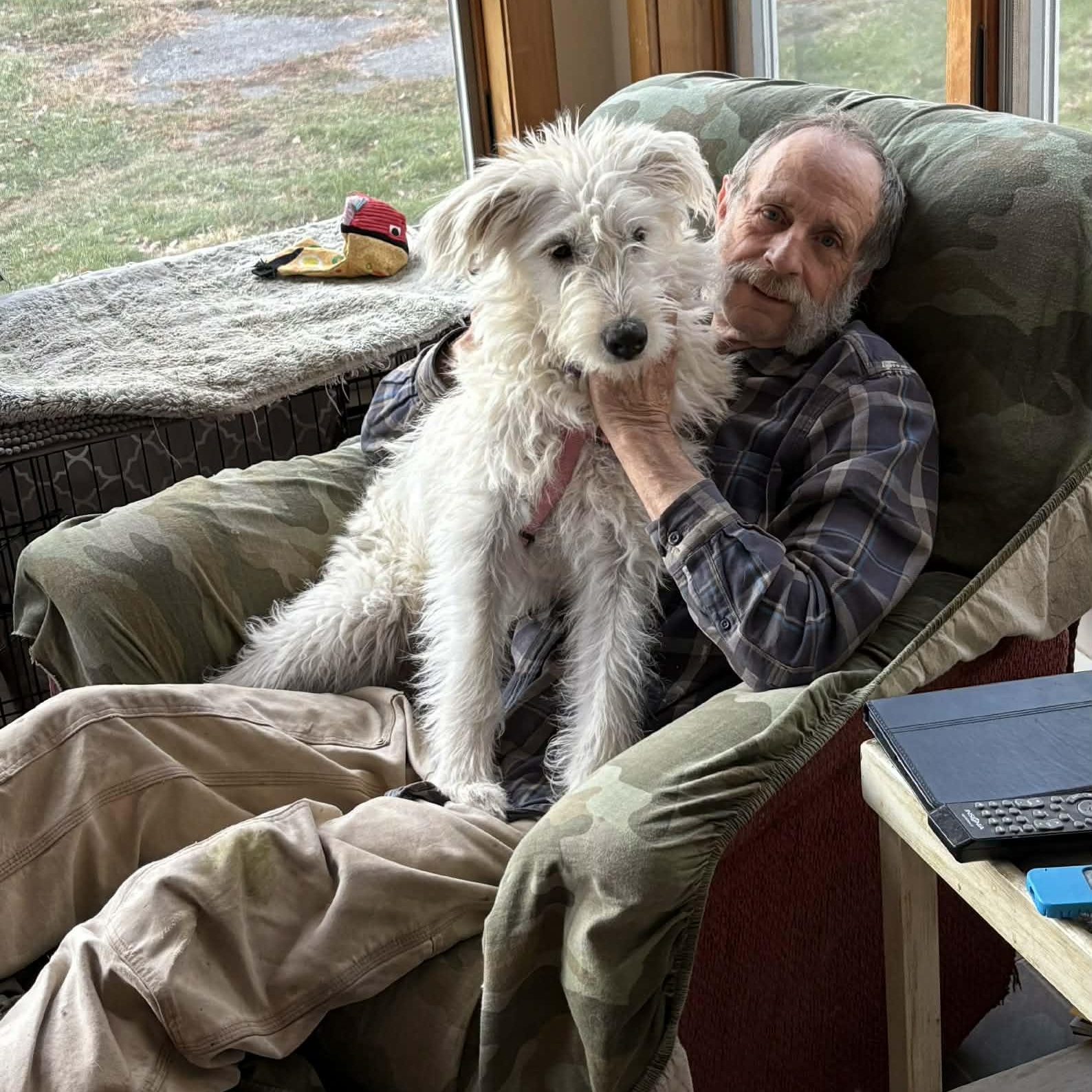 Enlarge Princess Lolly, a ADOPTABLE mixed breed in Woolwich, ME image 2/6