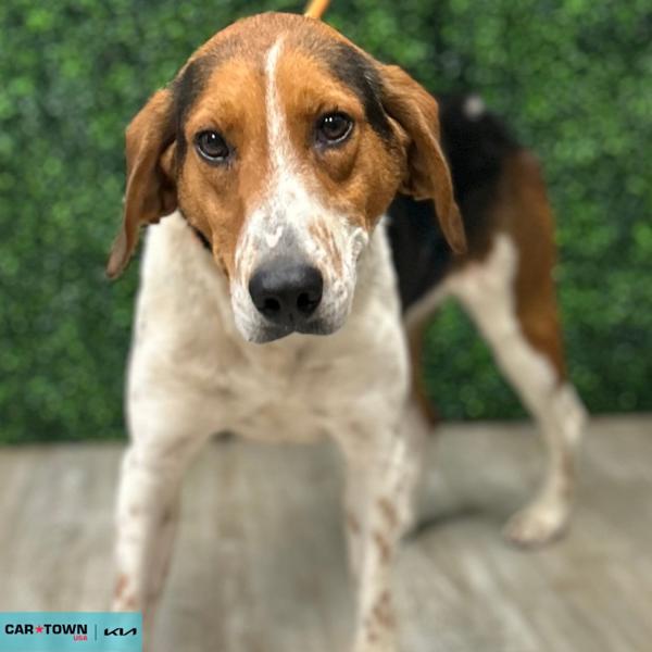 Vivian — thumbnail 2