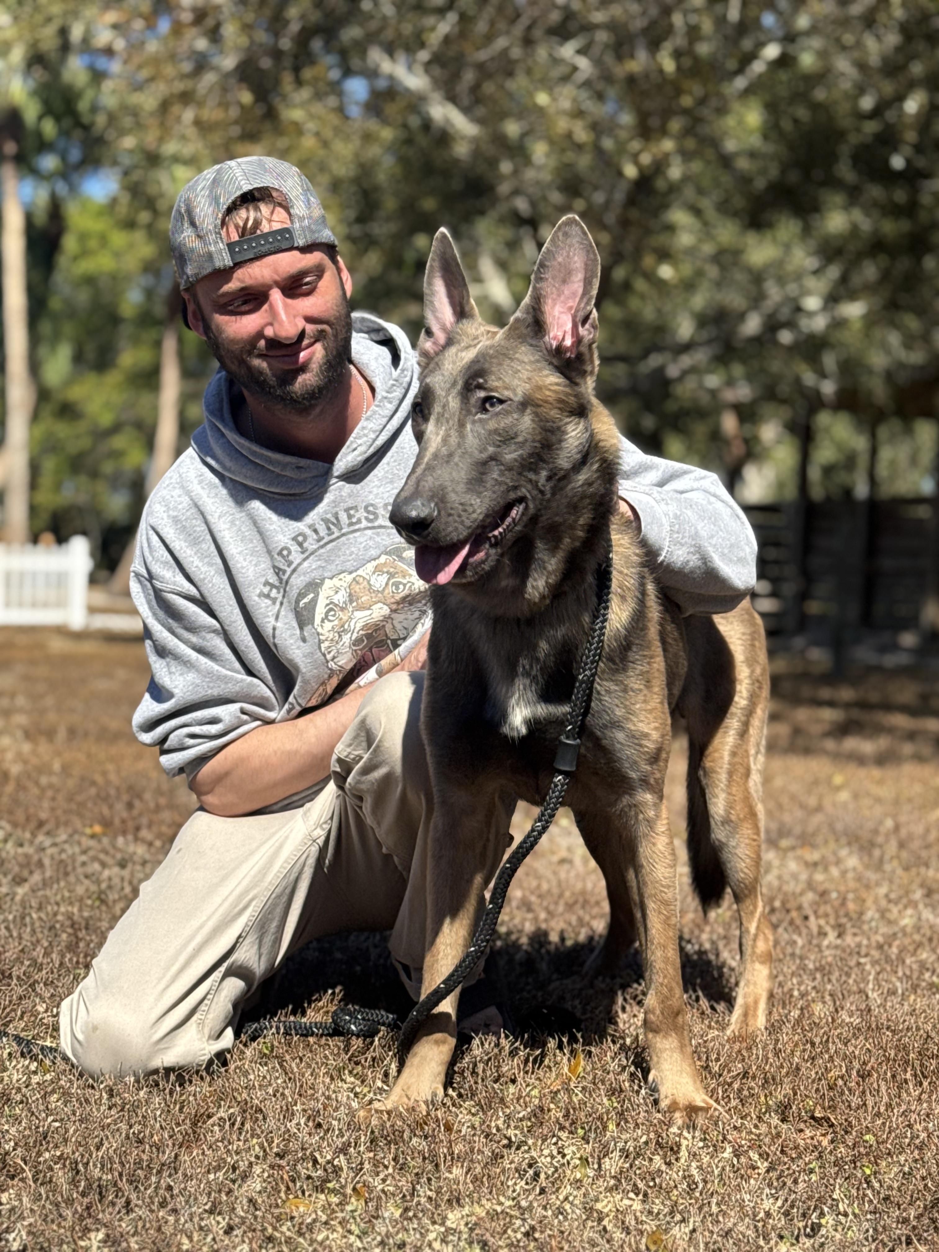 Chad, a ADOPTABLE Belgian Shepherd / Malinois in Palm City, FL image 1/4