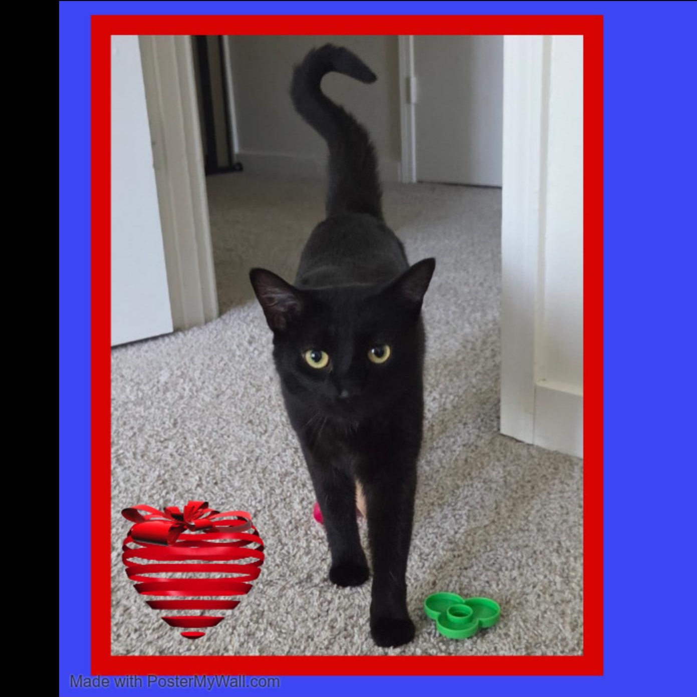Enlarge Sylvie Lady-Panther, a Adoptable Domestic Short Hair in Beaverton, OR image 3/6