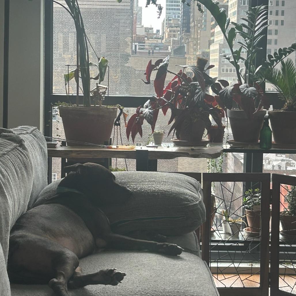 Kobe — thumbnail 5