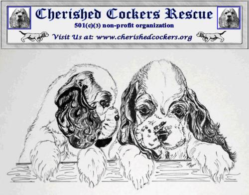 Enlarge Foster Homes Needed, a Adoptable Cocker Spaniel in Mentor, OH image 2/8