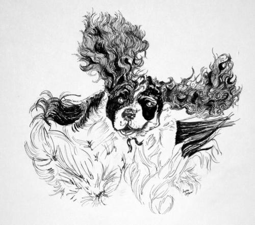 Enlarge Foster Homes Needed, a Adoptable Cocker Spaniel in Mentor, OH image 3/8