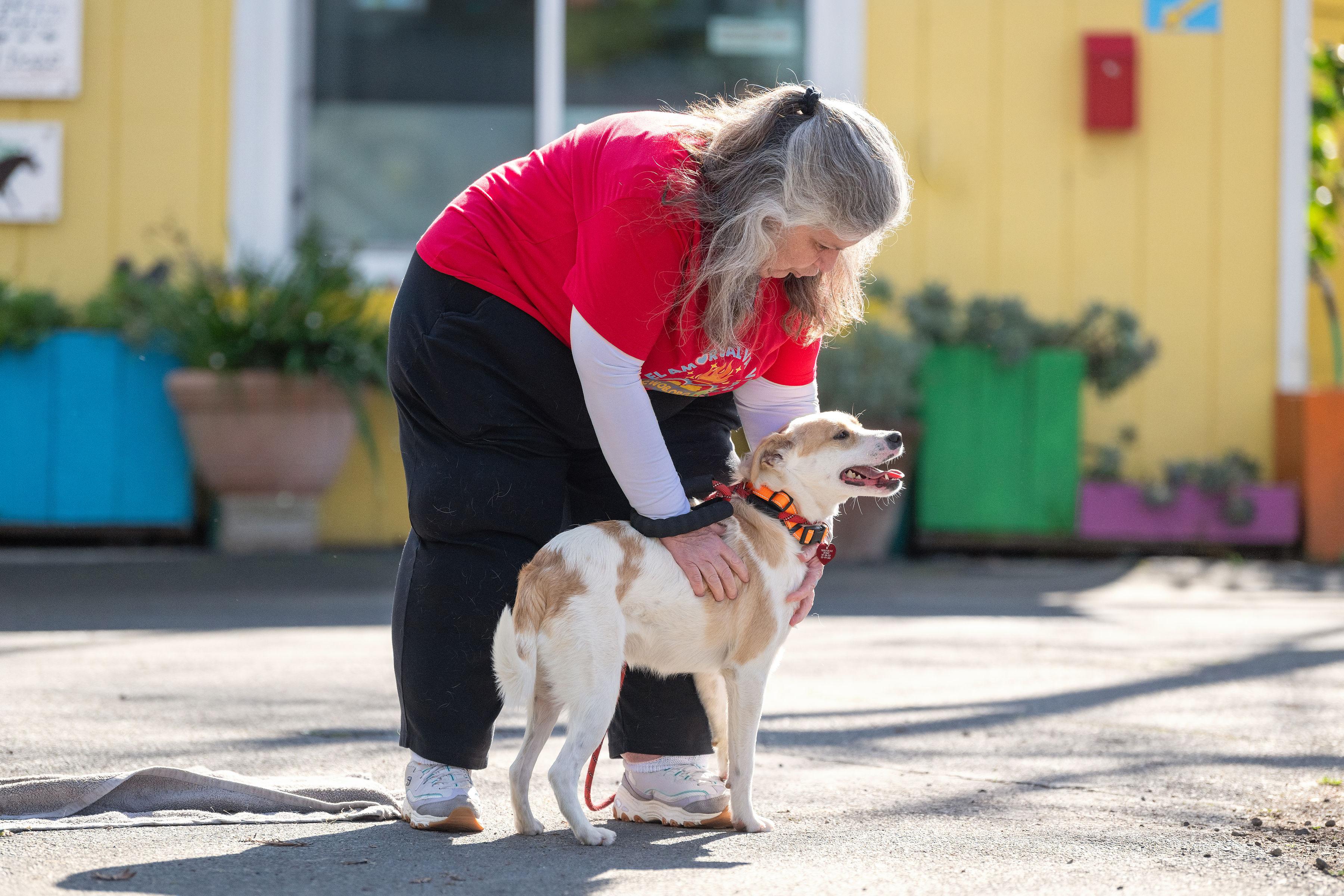 Enlarge Cheeseball, a ADOPTABLE mixed breed in Santa Rosa, CA image 2/5
