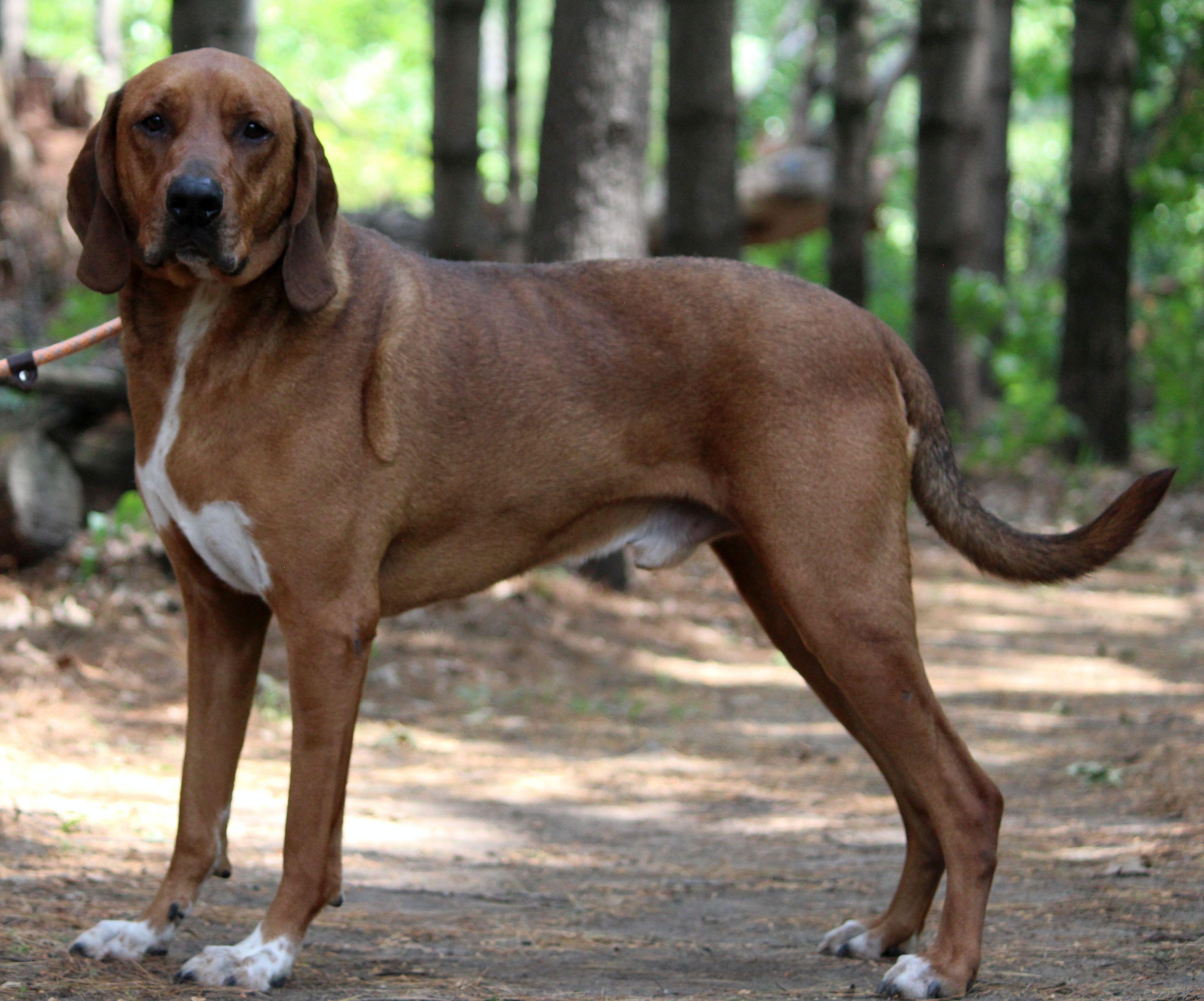 Arlo