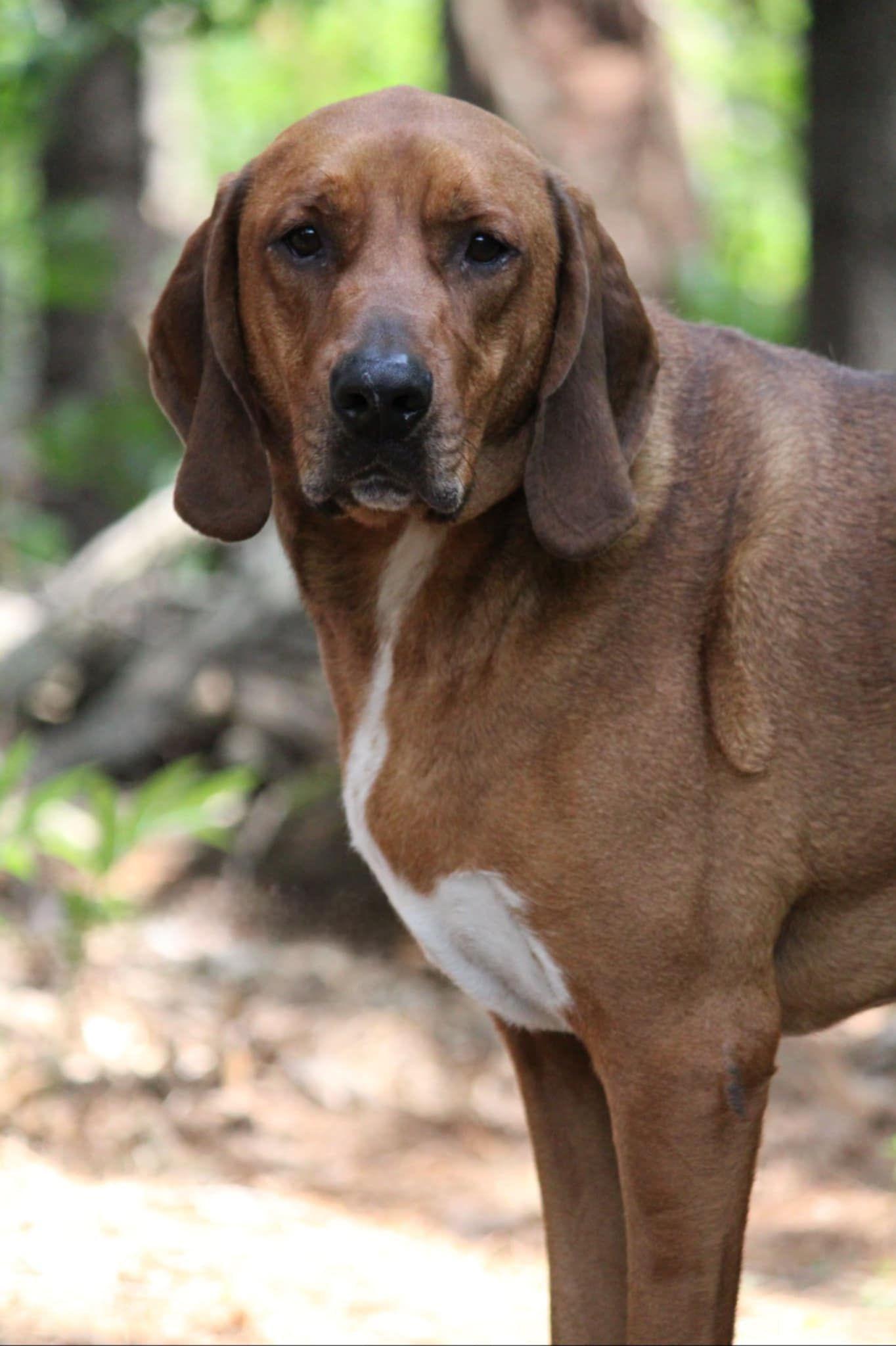 Arlo