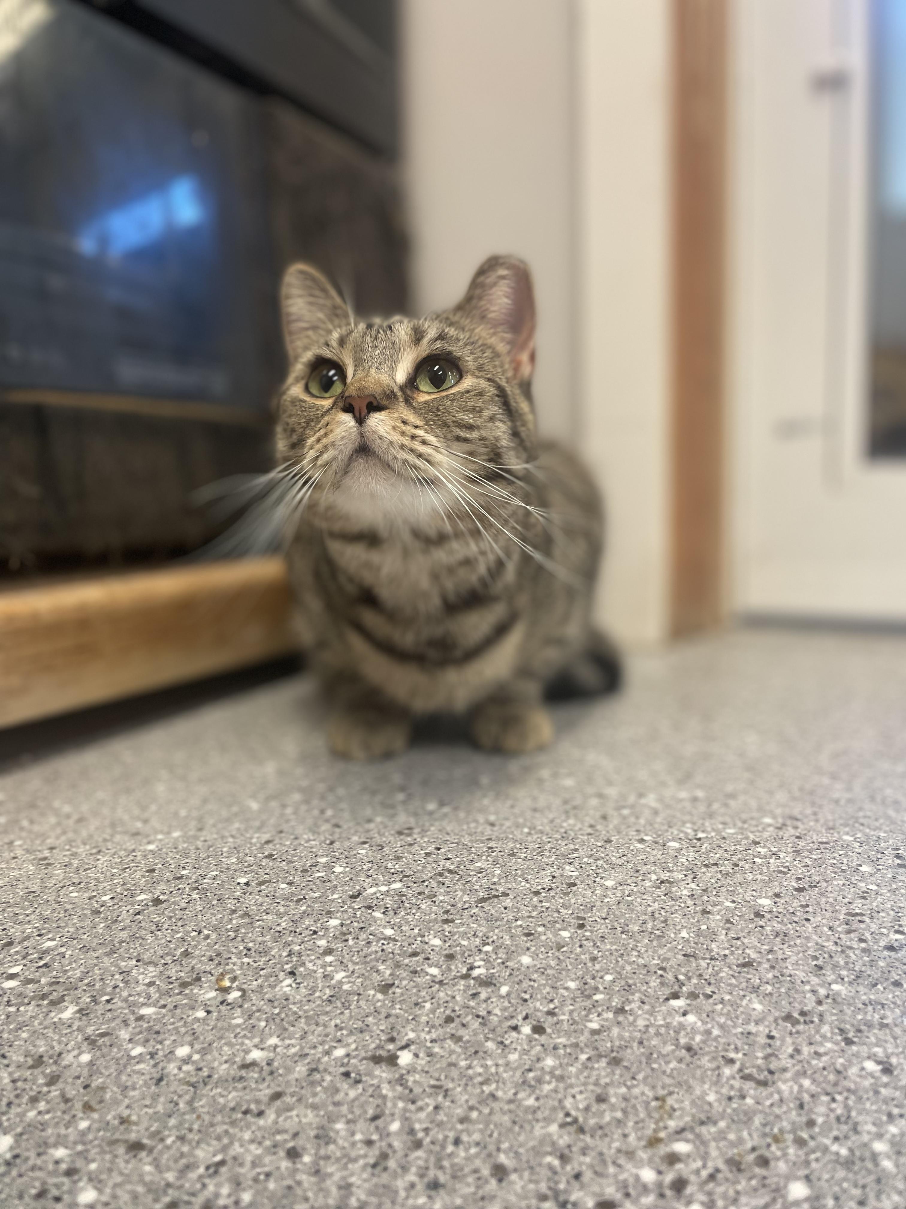 Tiny