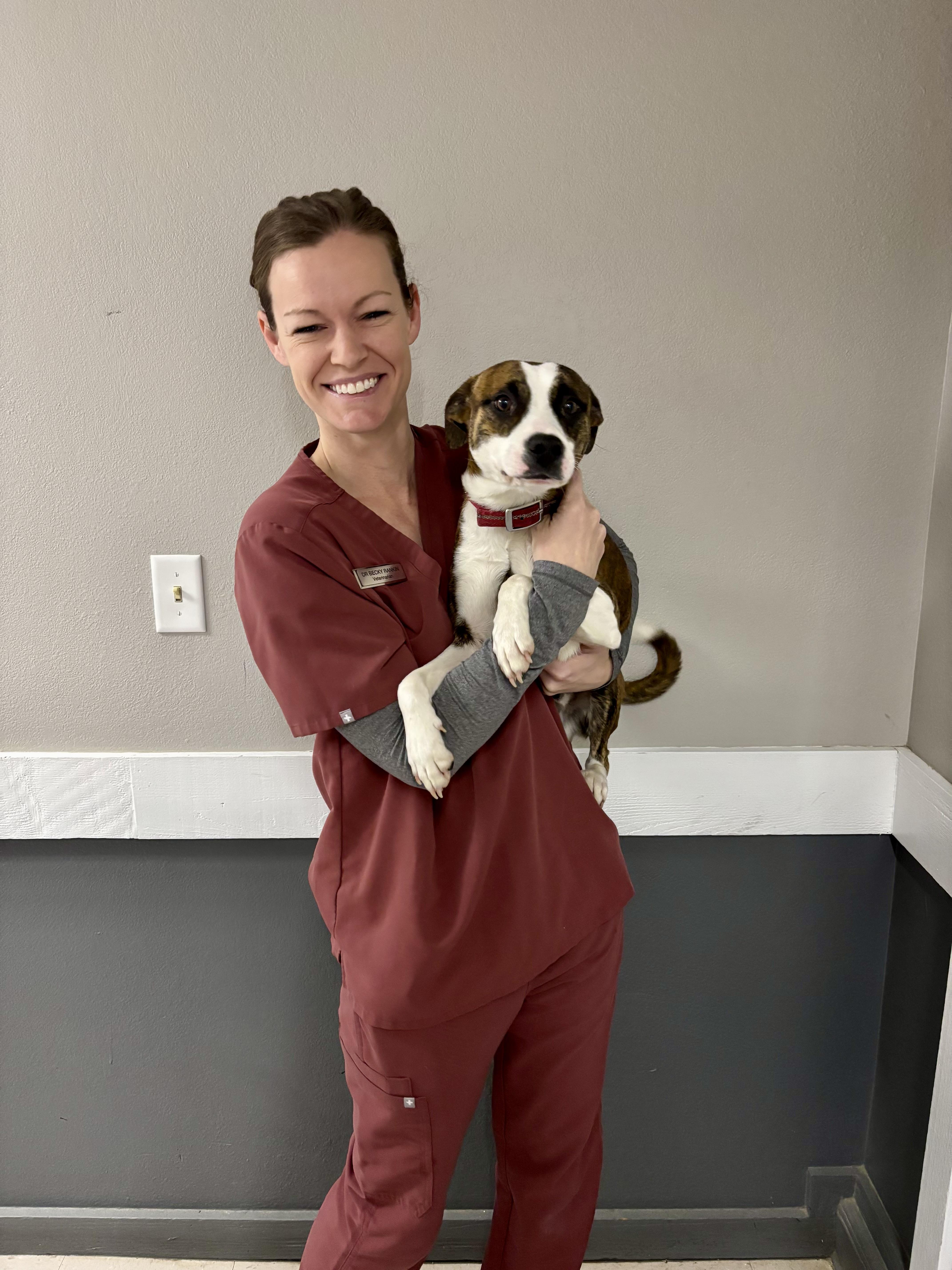 Enlarge Dexter, an adopted mixed breed in Abilene, KS image 3/6