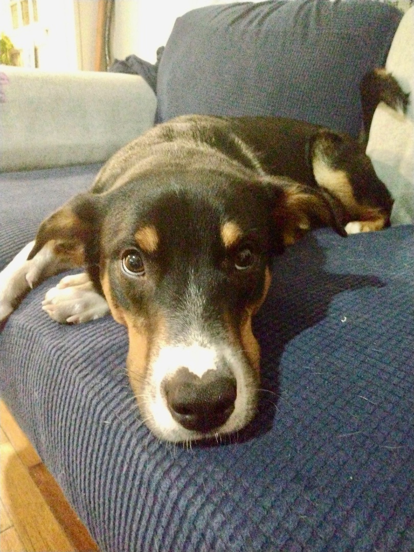 Tank — thumbnail 3