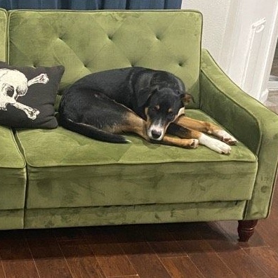 Tank — thumbnail 4