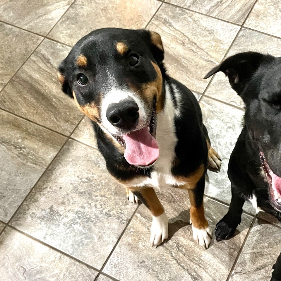 Tank — thumbnail 5