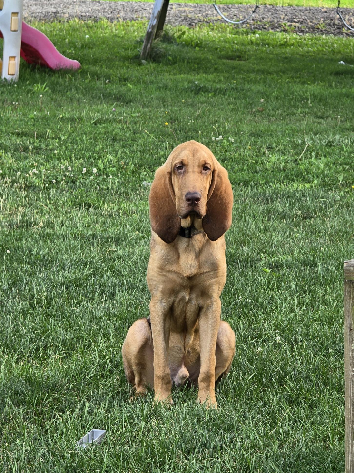 Rufus! Big dufus! 5