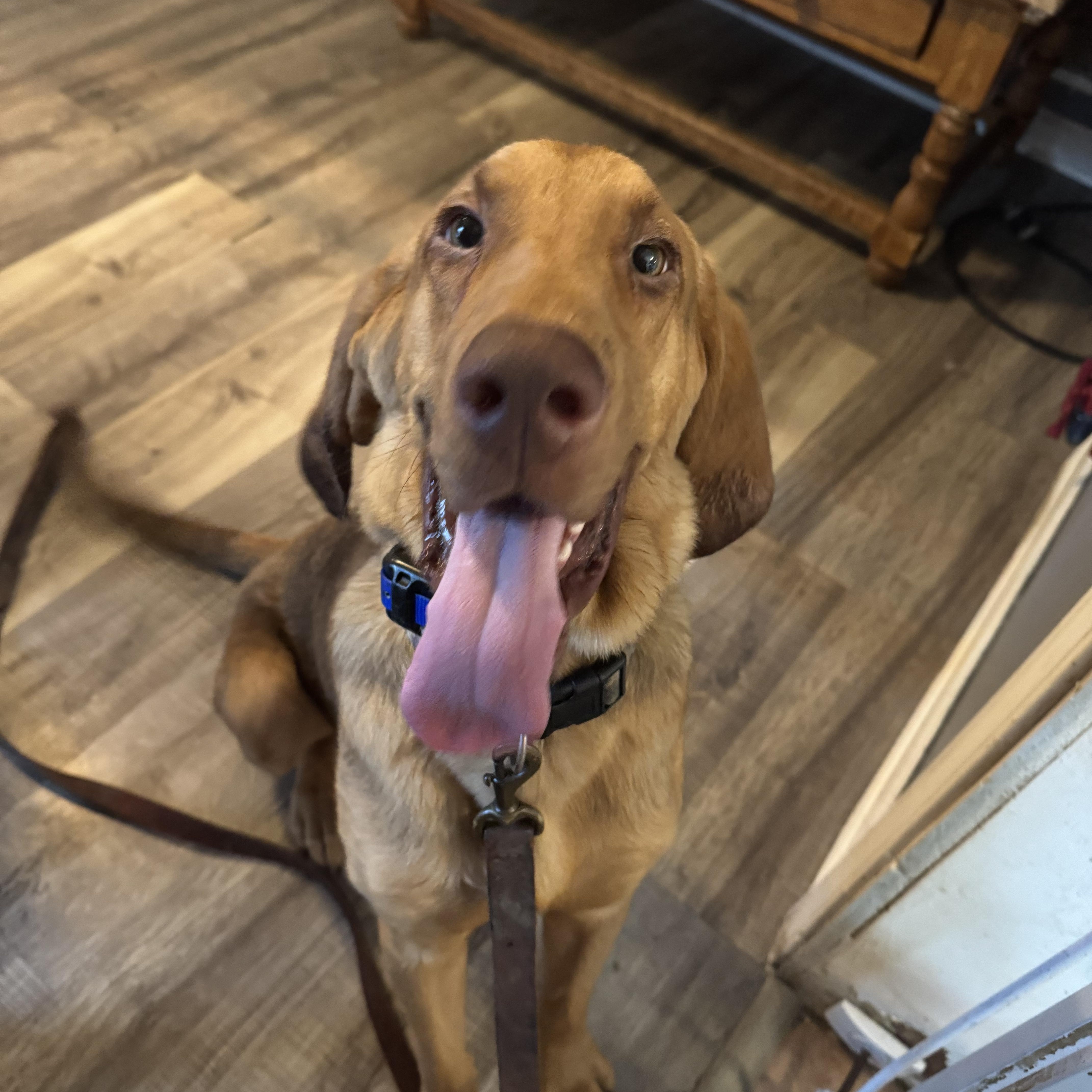 Rufus! Big dufus! 2