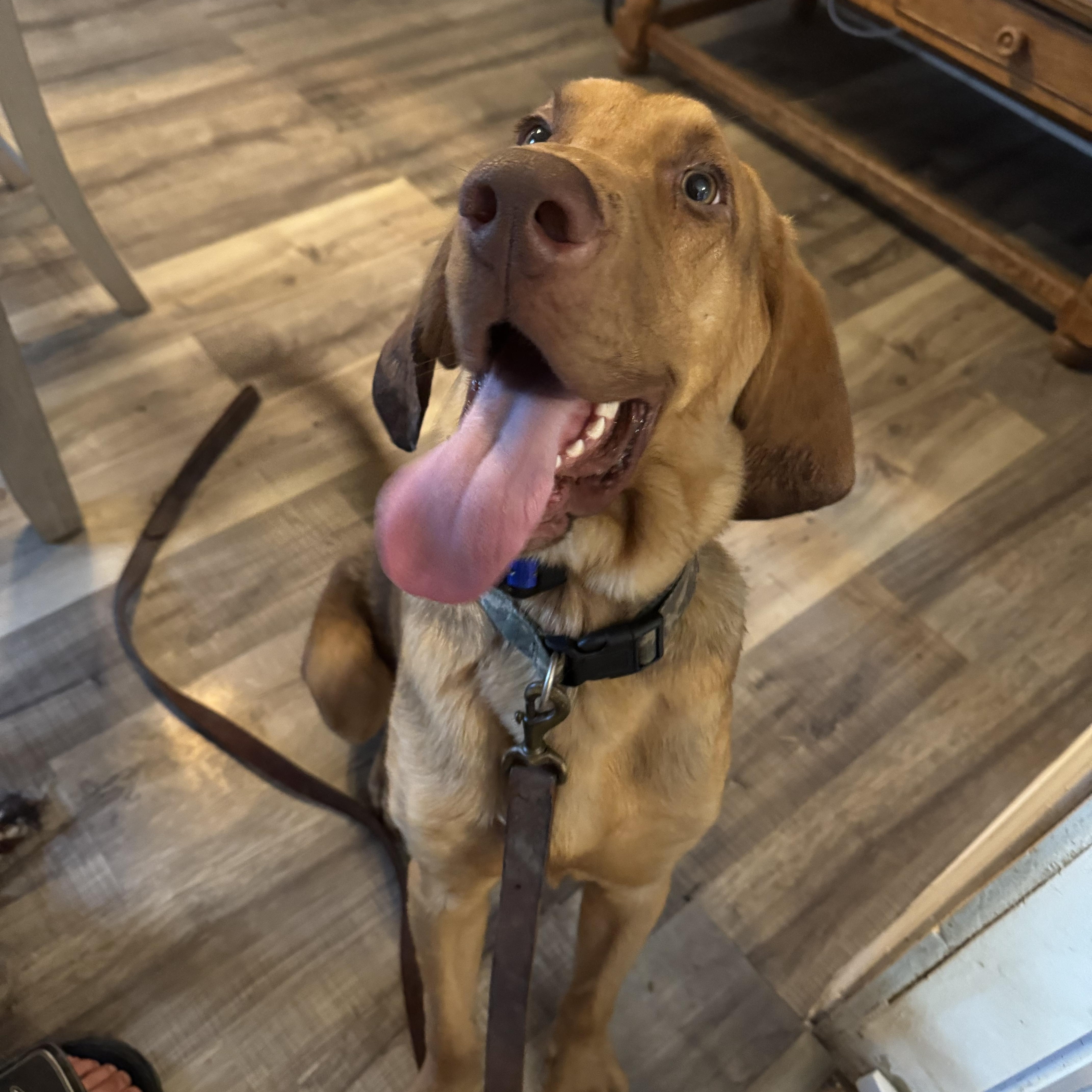 Rufus! Big dufus! 6