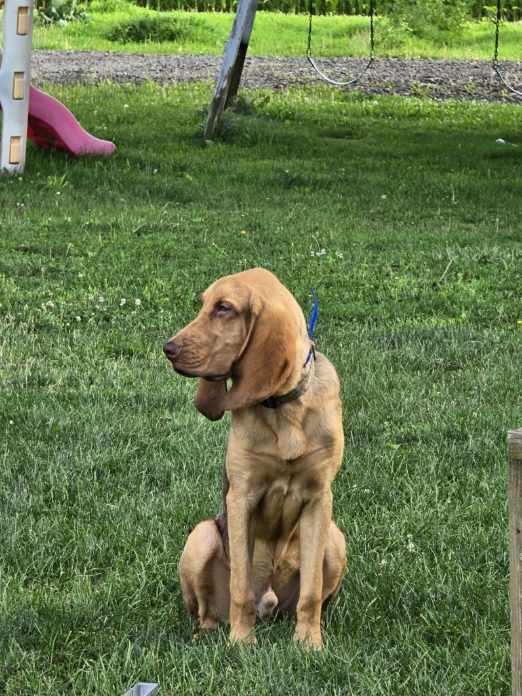 Rufus! Big dufus! 4