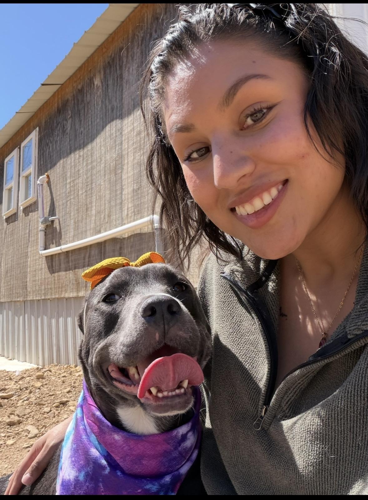 Enlarge Jess, a Adoptable mixed breed in bowling green, KY image 5/5