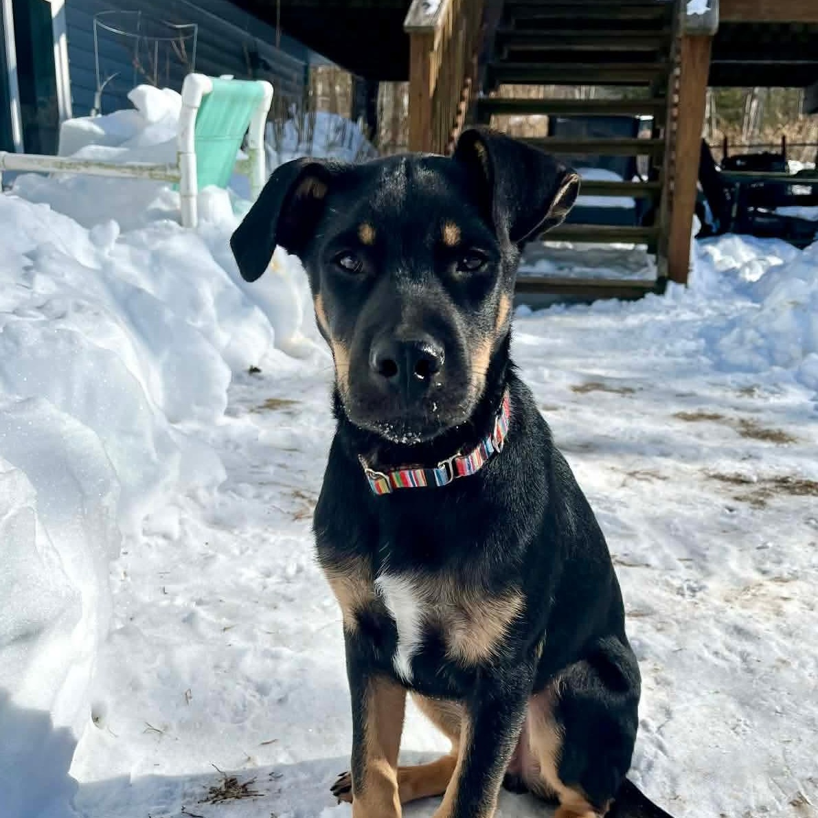 LeFou — thumbnail 2