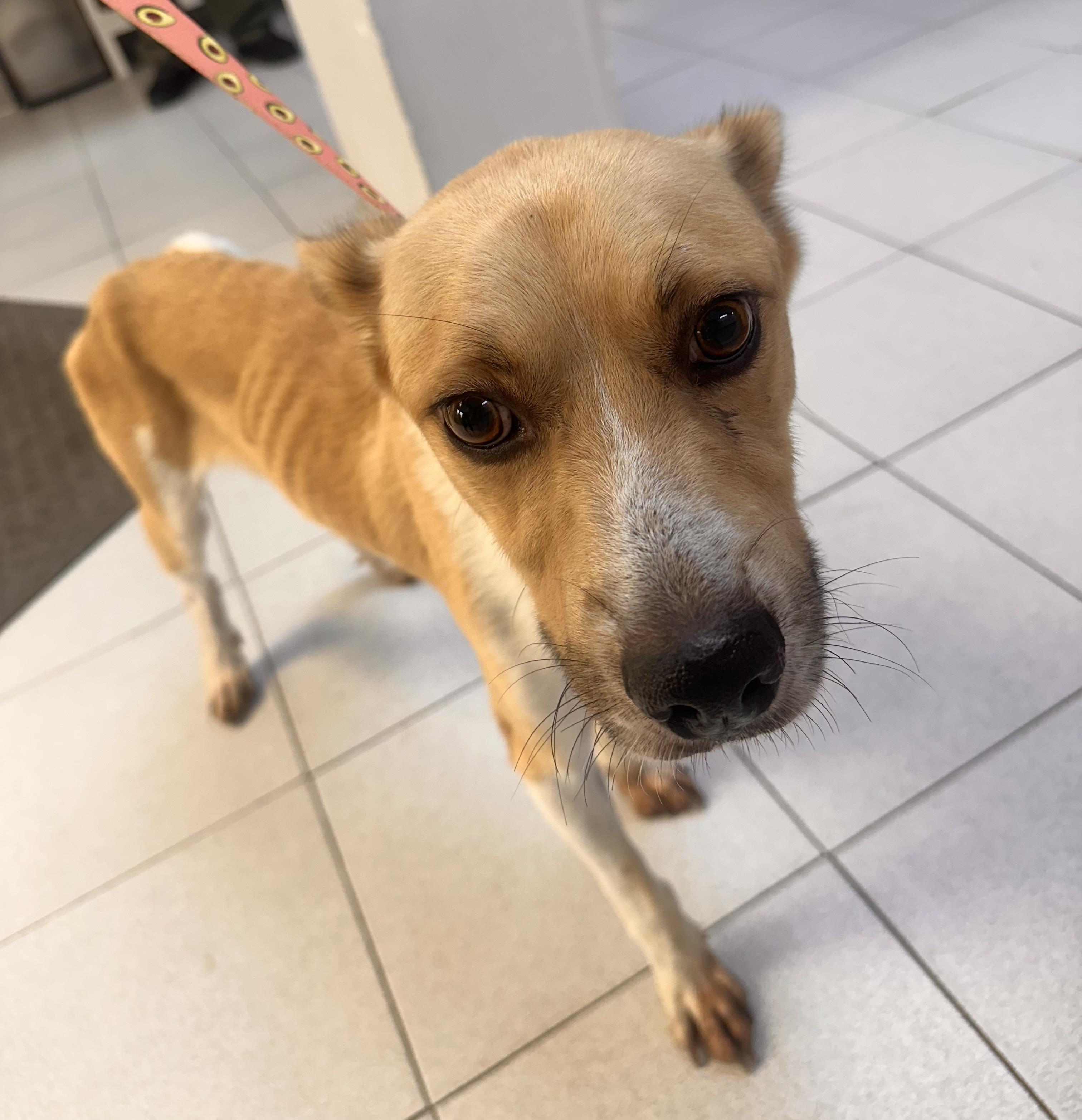 Perry  An Utter thumbnail 3